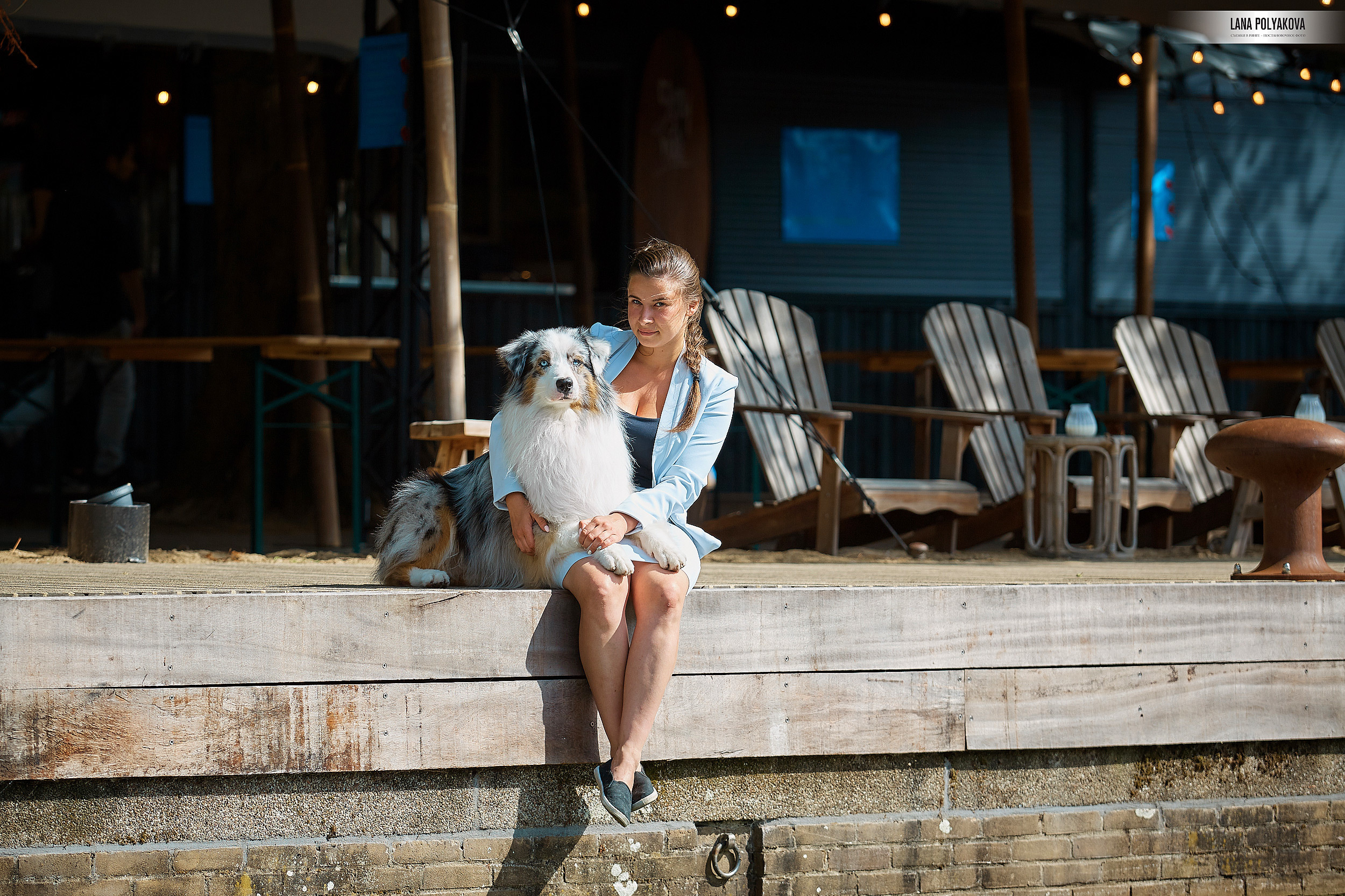 Фото на WDS 2018
Австралийская овчарка
Аусси