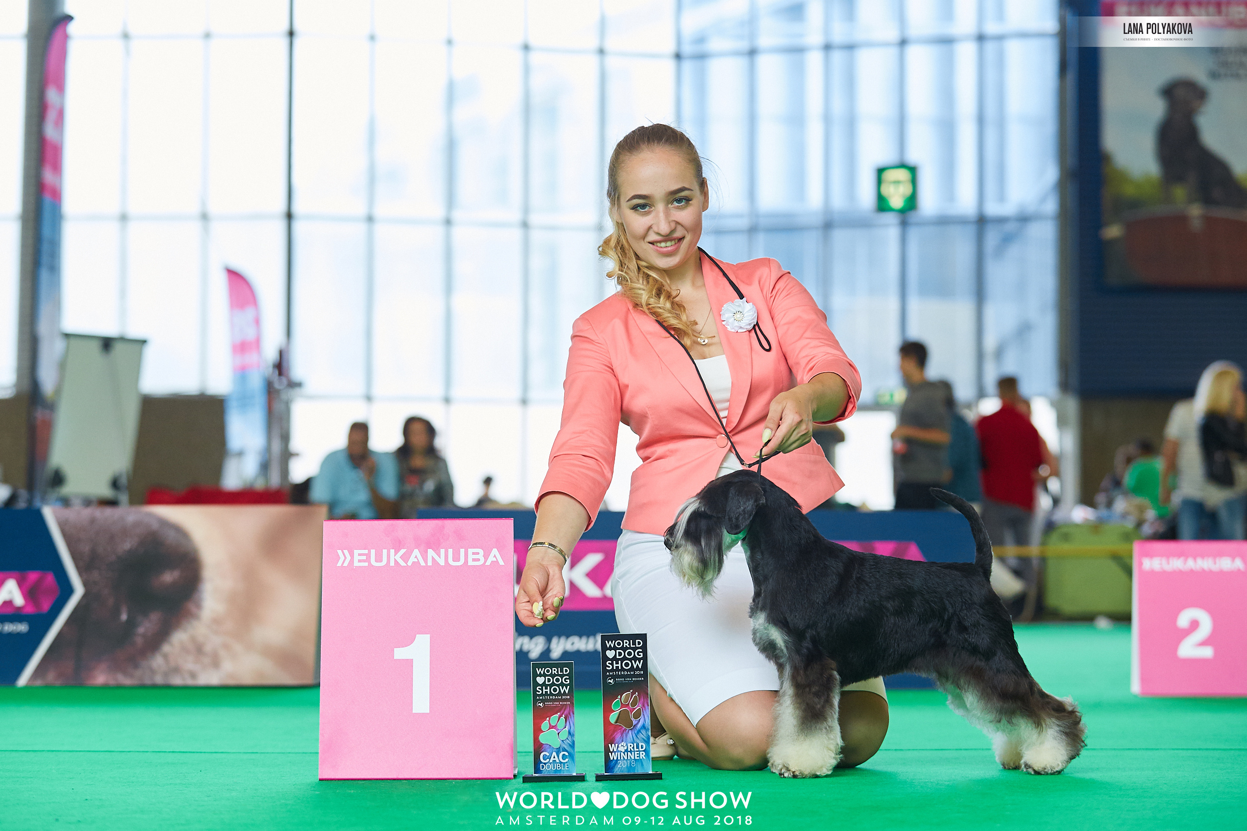 Фото на WDS 2018
Цвергшнауцер