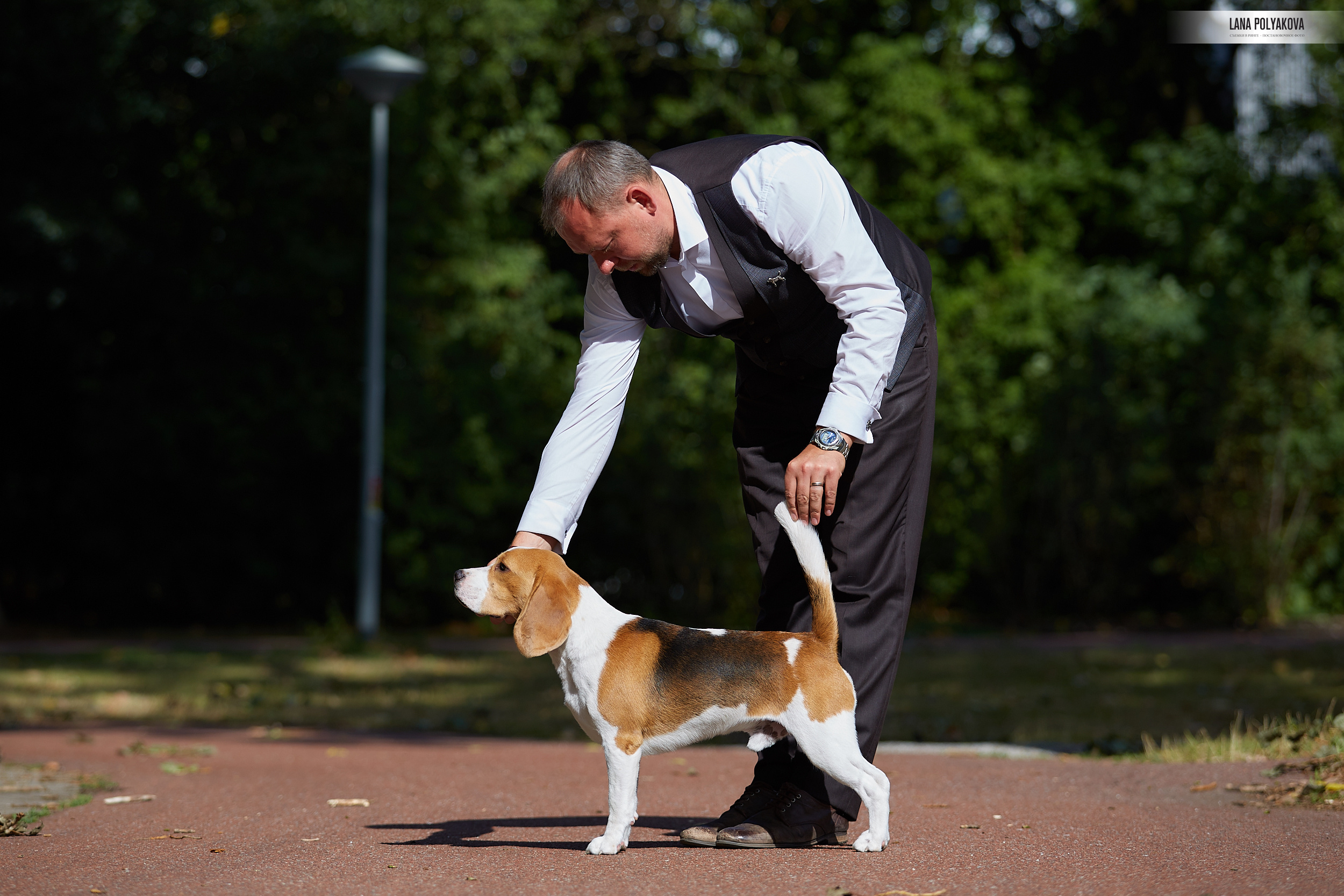 Фото на WDS 2018
Бигль