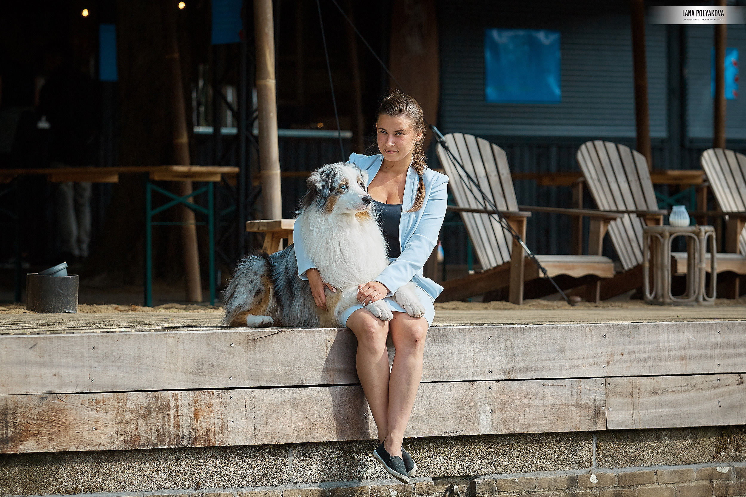 Фото на WDS 2018
Австралийская овчарка
Аусси