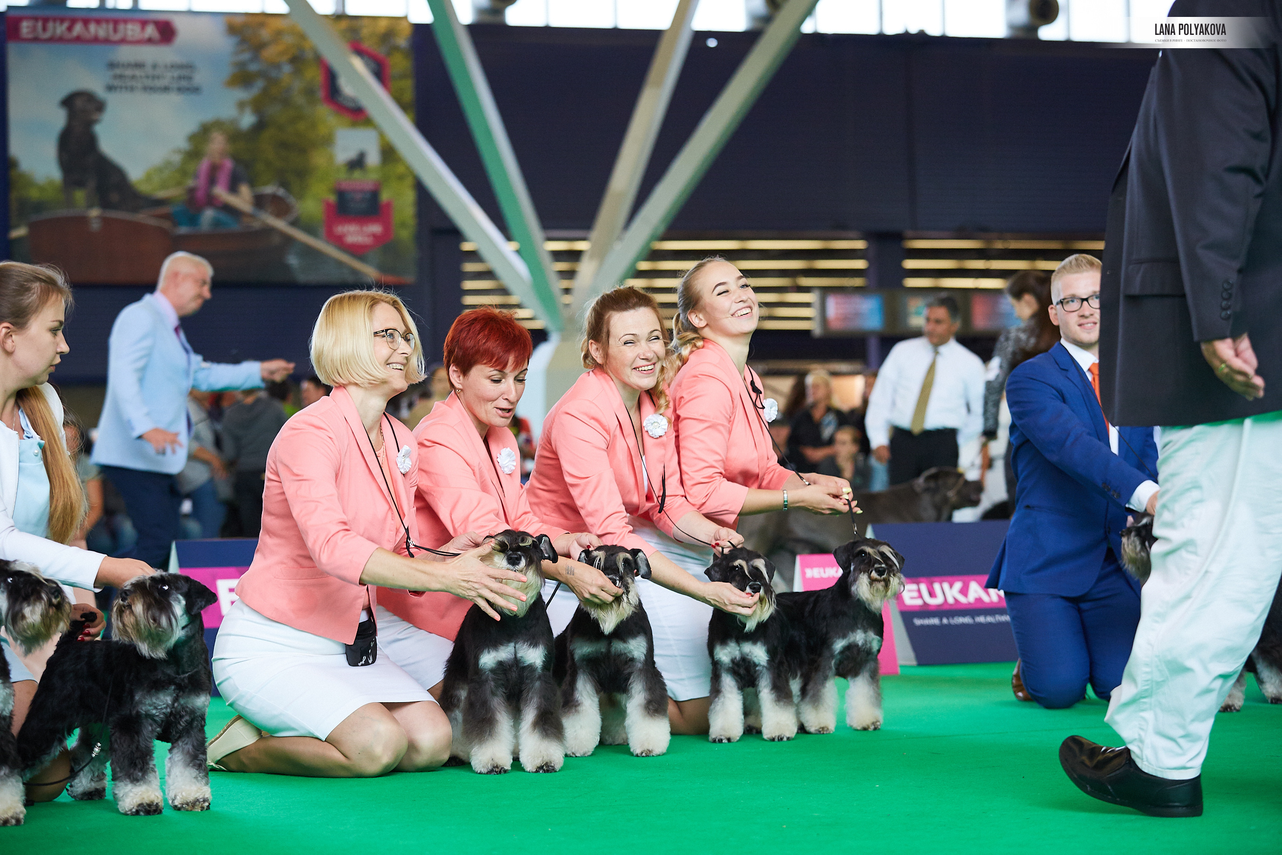 Фото на WDS 2018
Цвергшнауцер