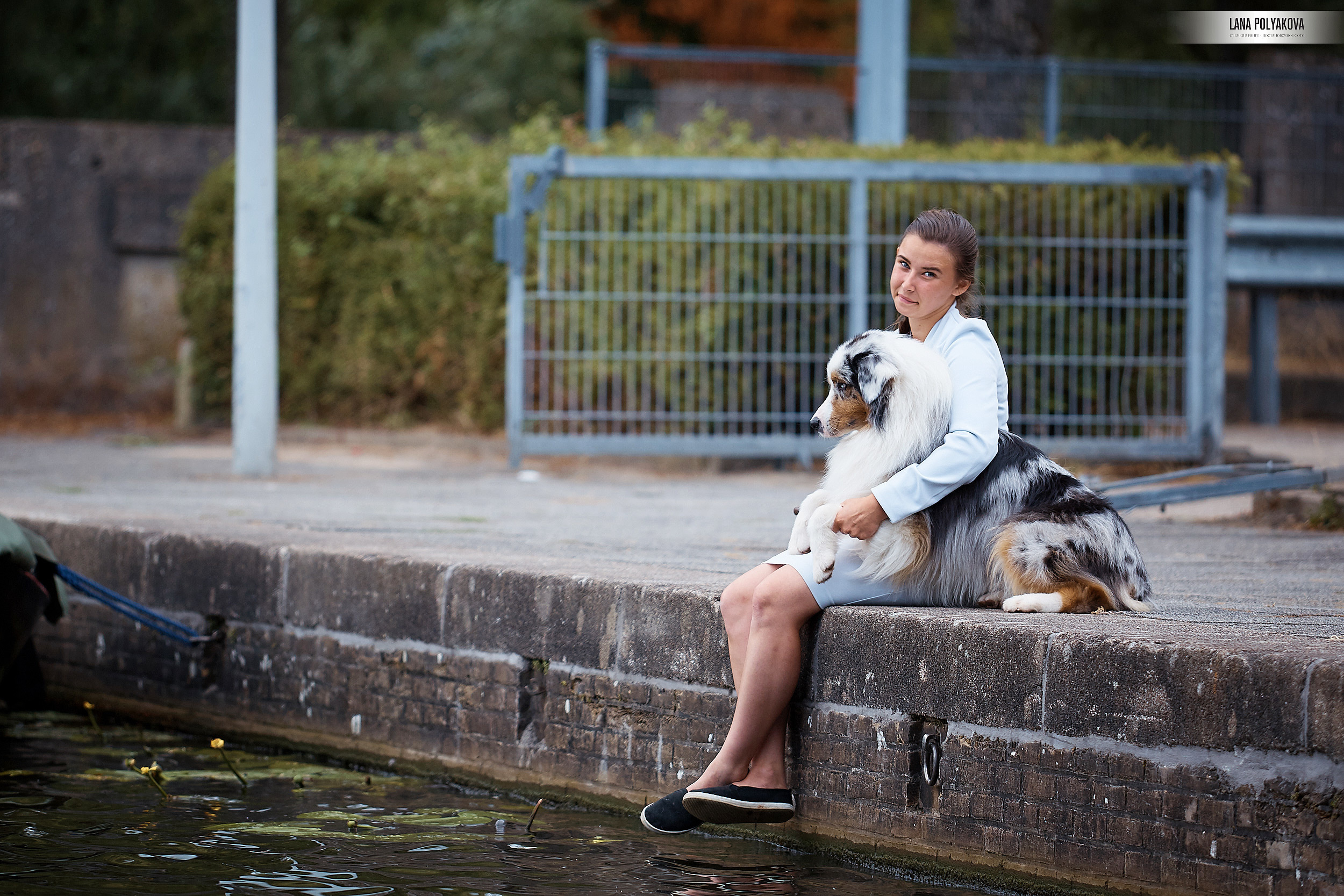 Фото на WDS 2018
Австралийская овчарка
Аусси