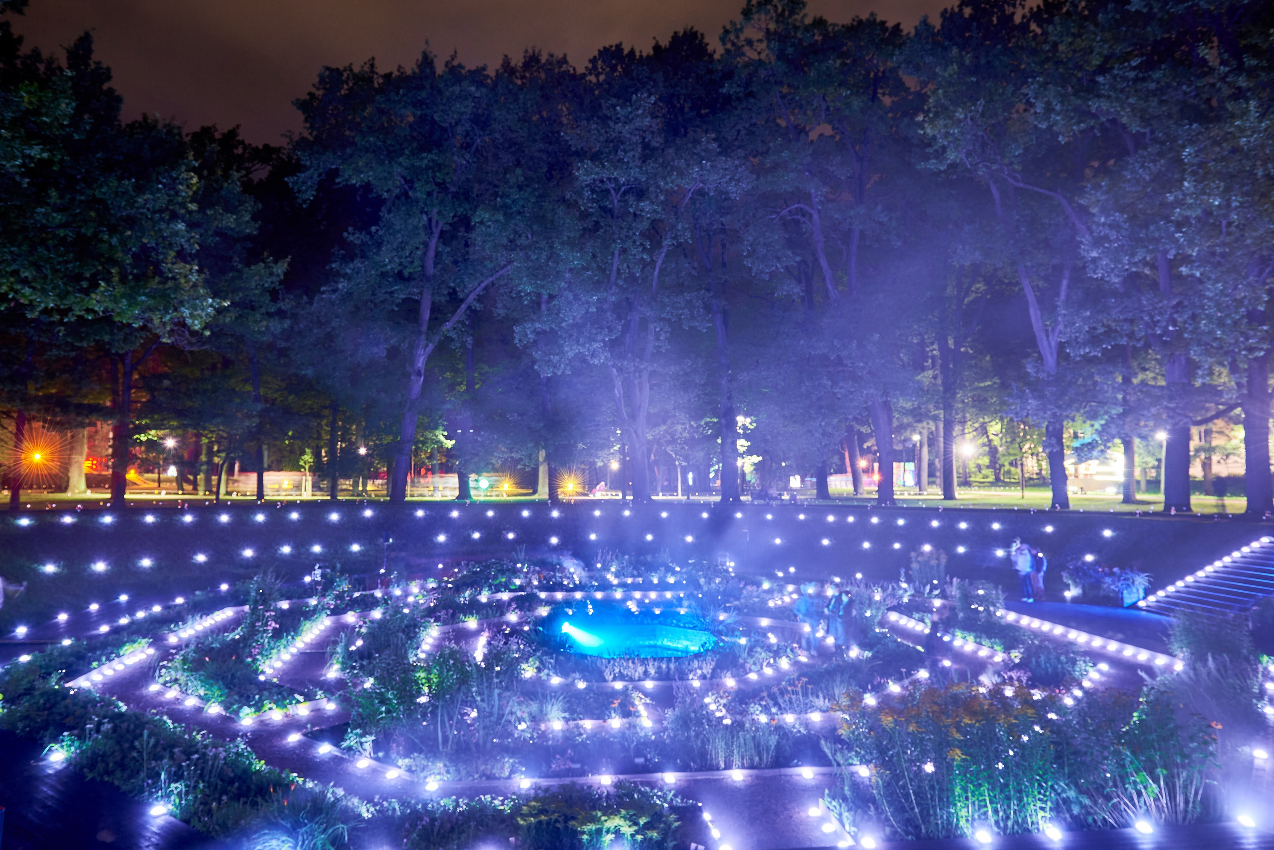 Ночь Света 2025