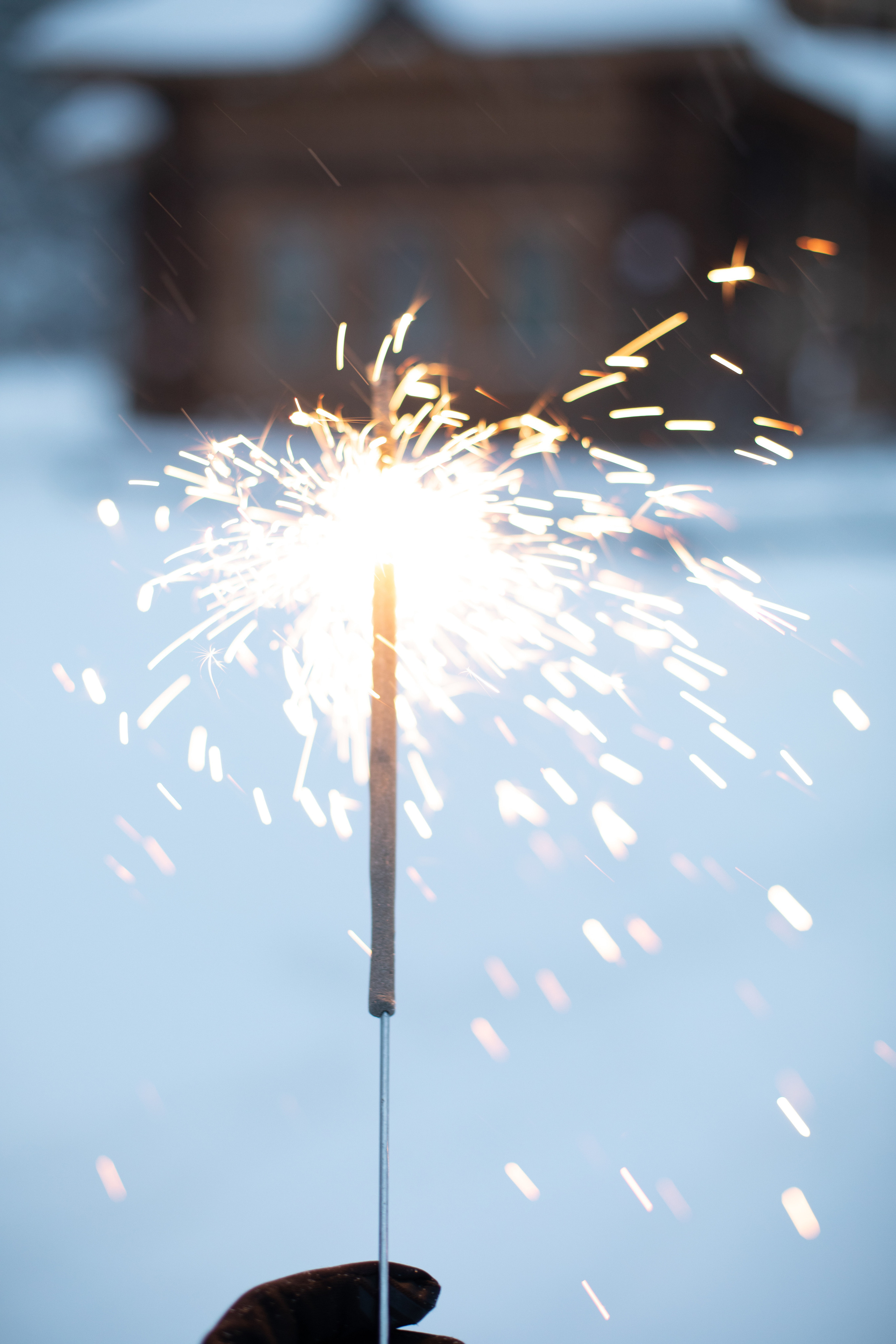 Зимняя прогулка. Фотограф в Костроме, Ярославле, Москве Светлана Заведеева