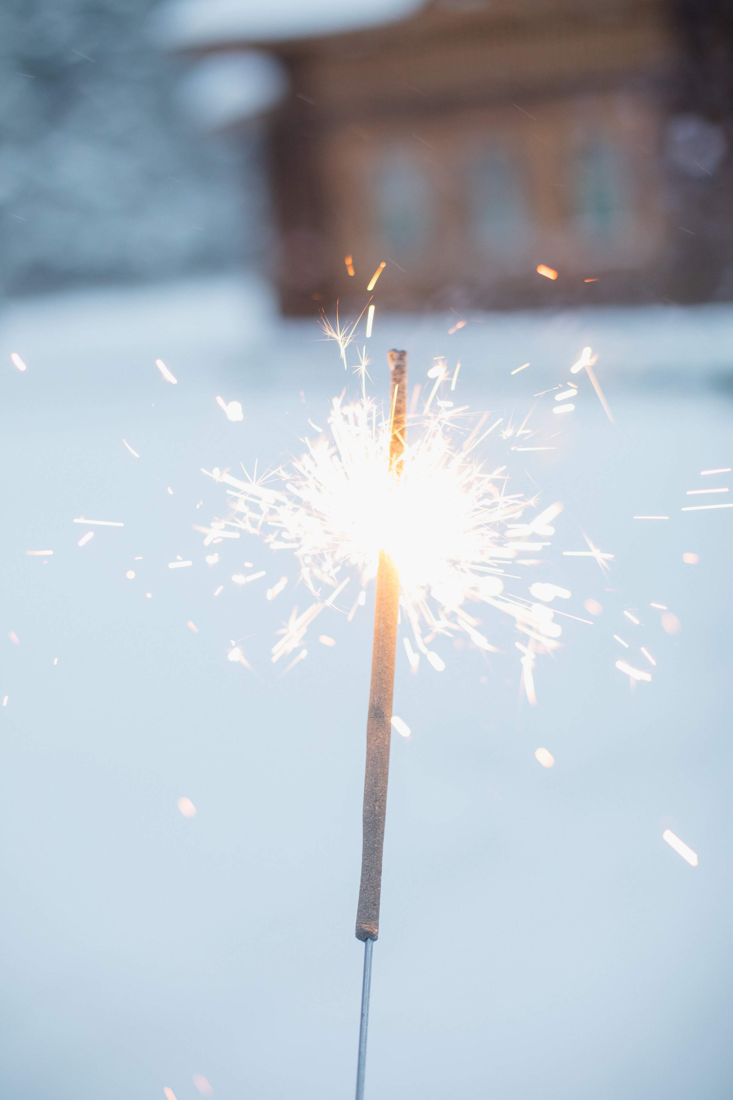 Зимняя прогулка. Фотограф в Костроме, Ярославле, Москве Светлана Заведеева