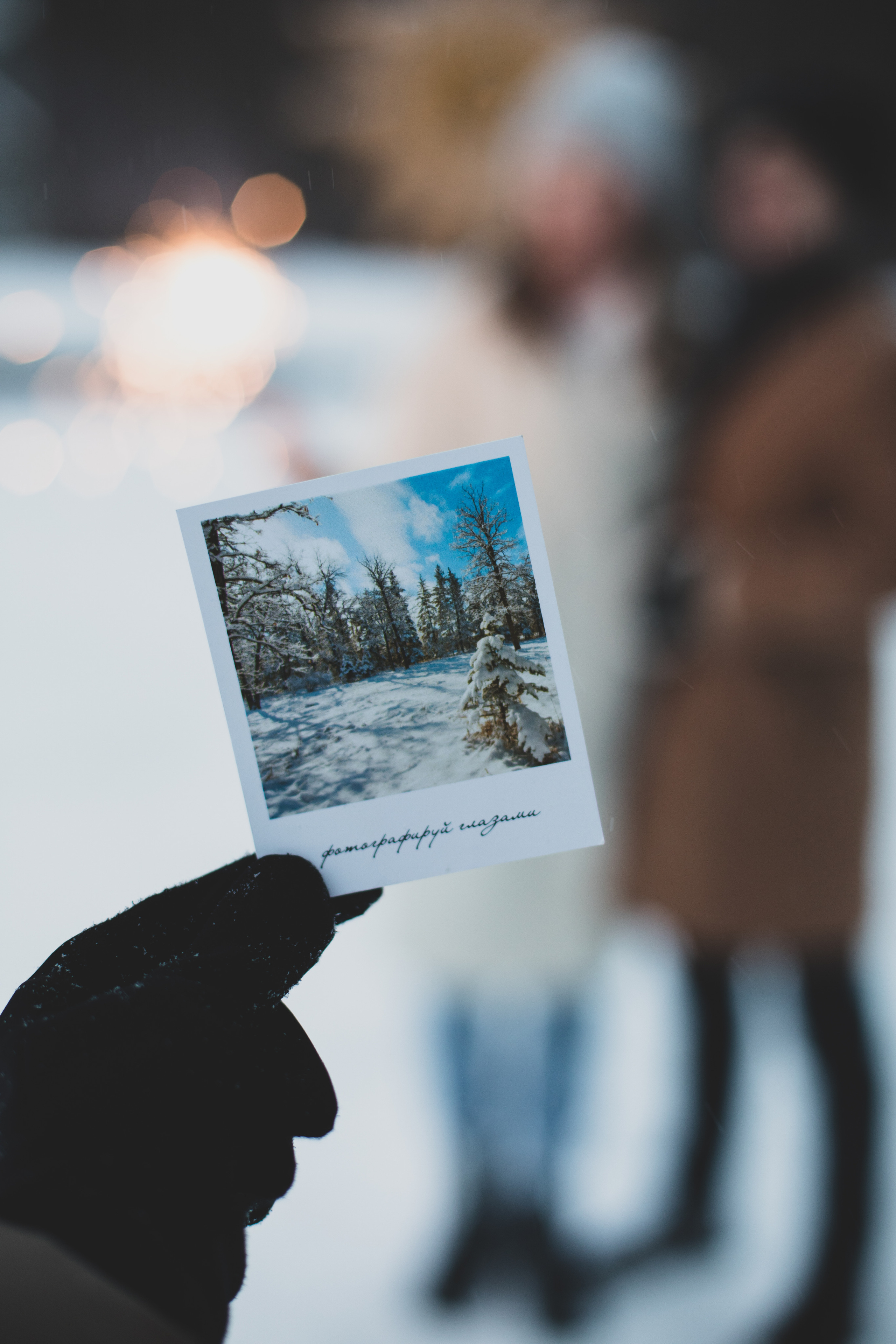 Зимняя прогулка. Фотограф в Костроме, Ярославле, Москве Светлана Заведеева