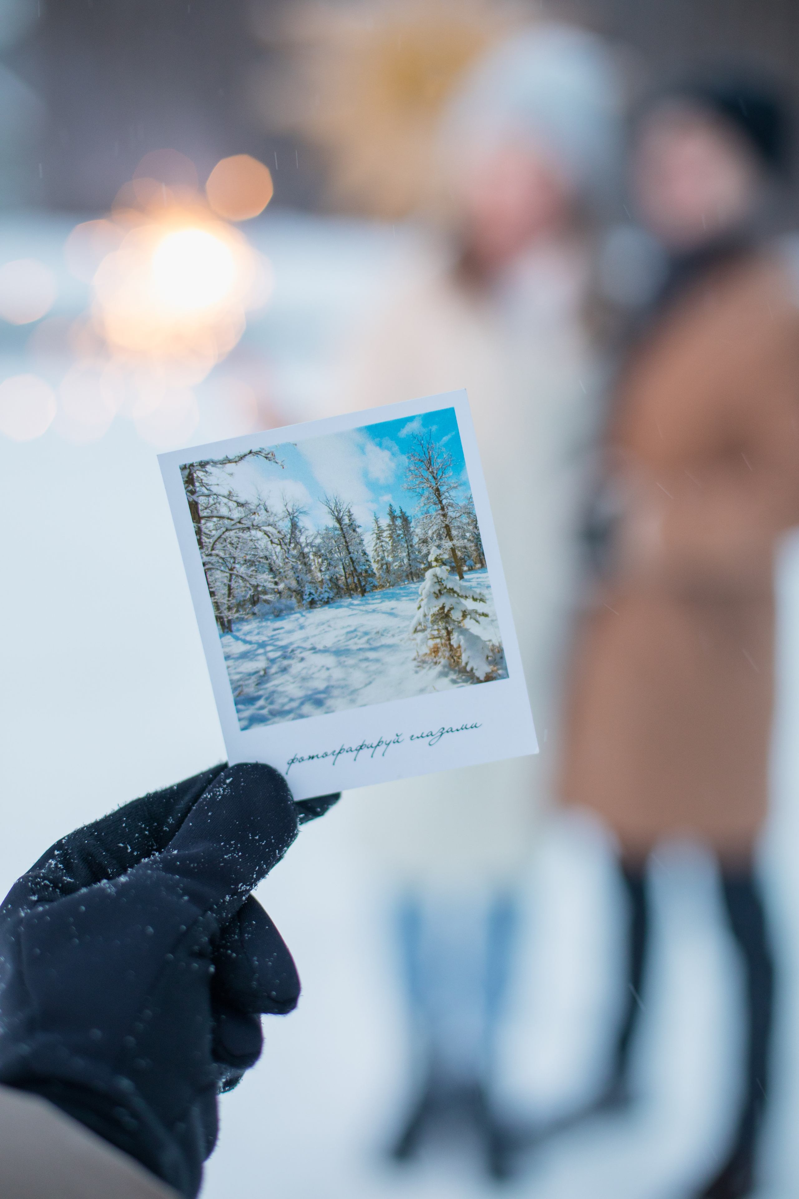 Зимняя прогулка. Фотограф в Костроме, Ярославле, Москве Светлана Заведеева