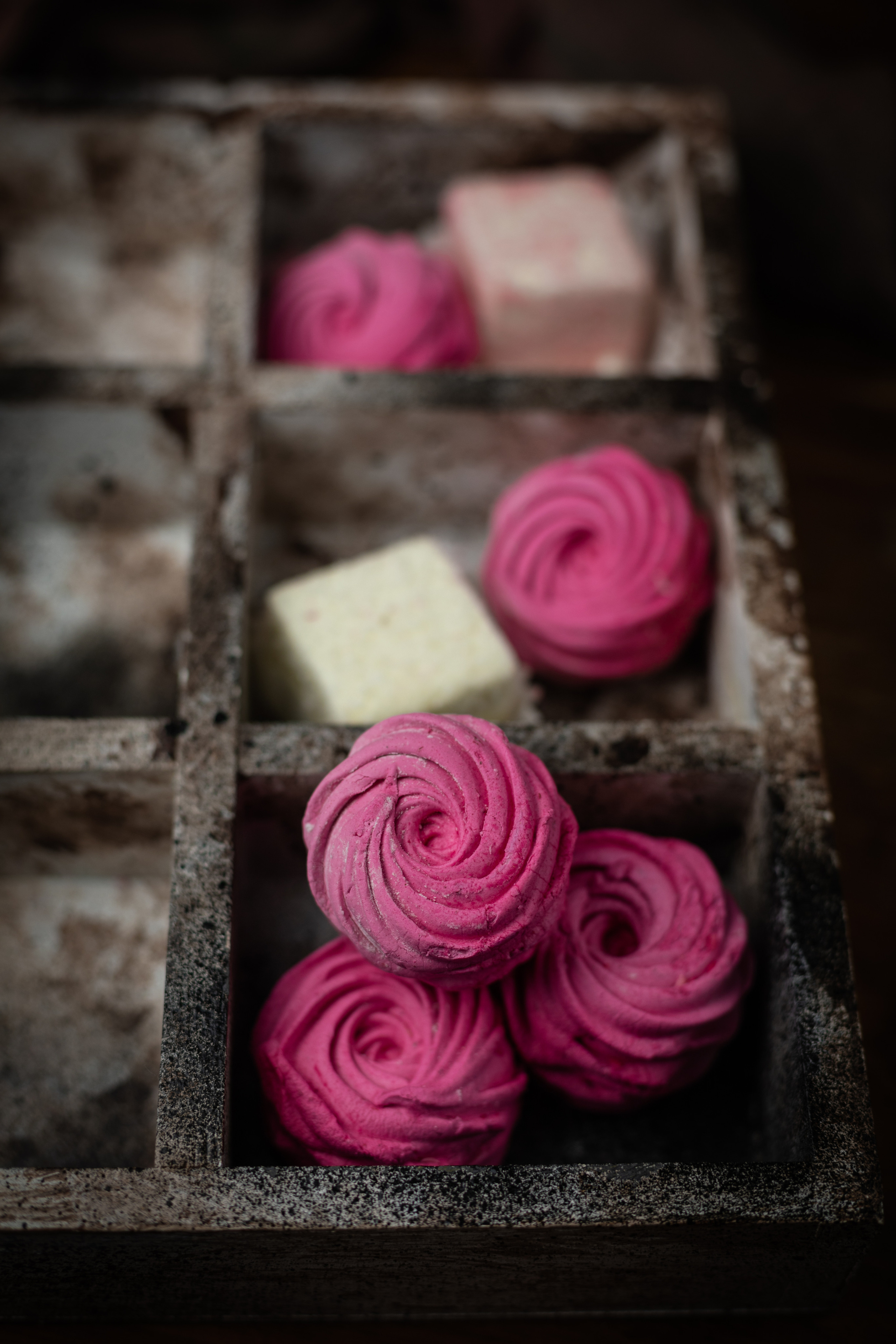 Зефир для уроков. Фотограф в Костроме, Ярославле, Москве Светлана Заведеева