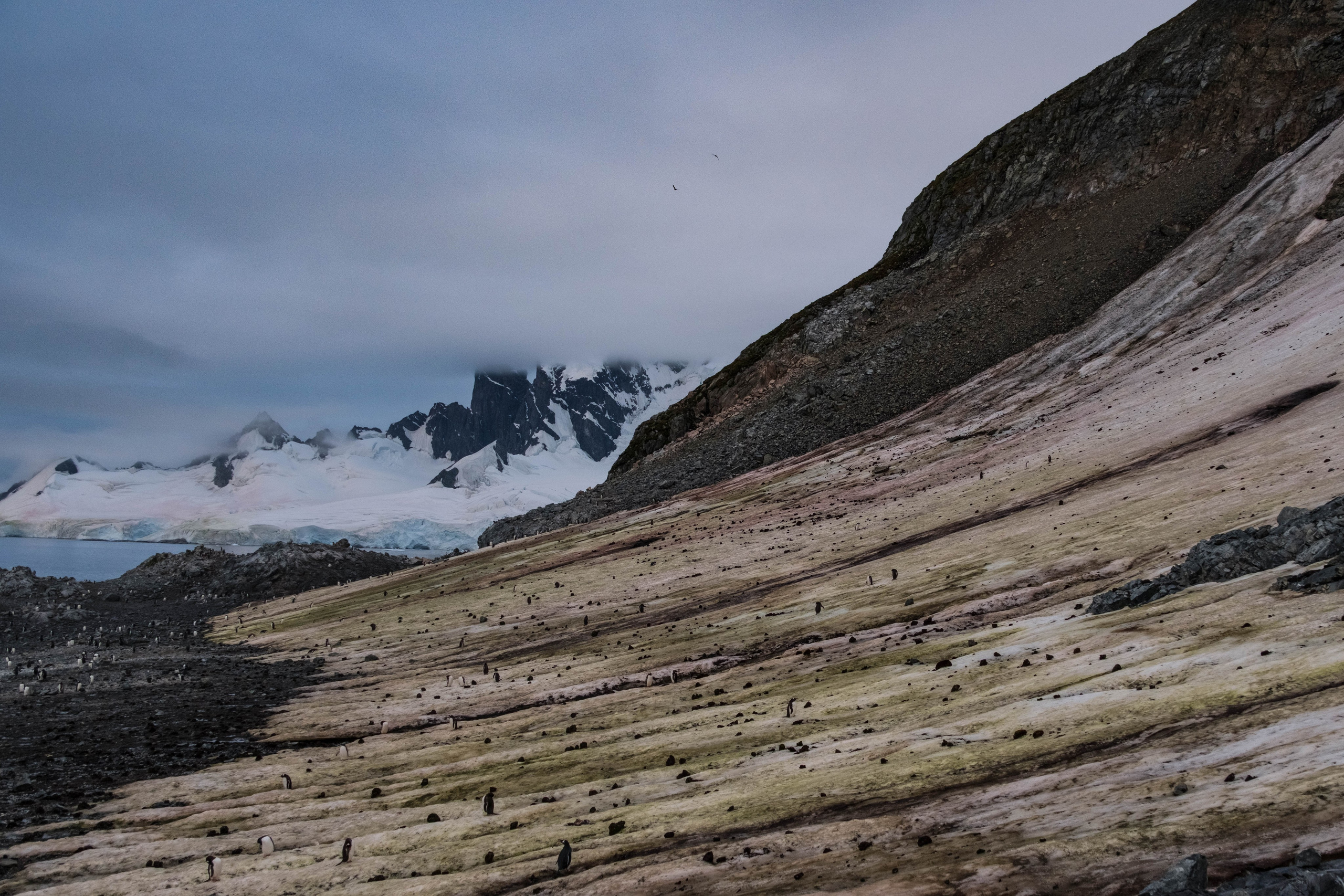 Материк и льды. Фотографии из путешествий