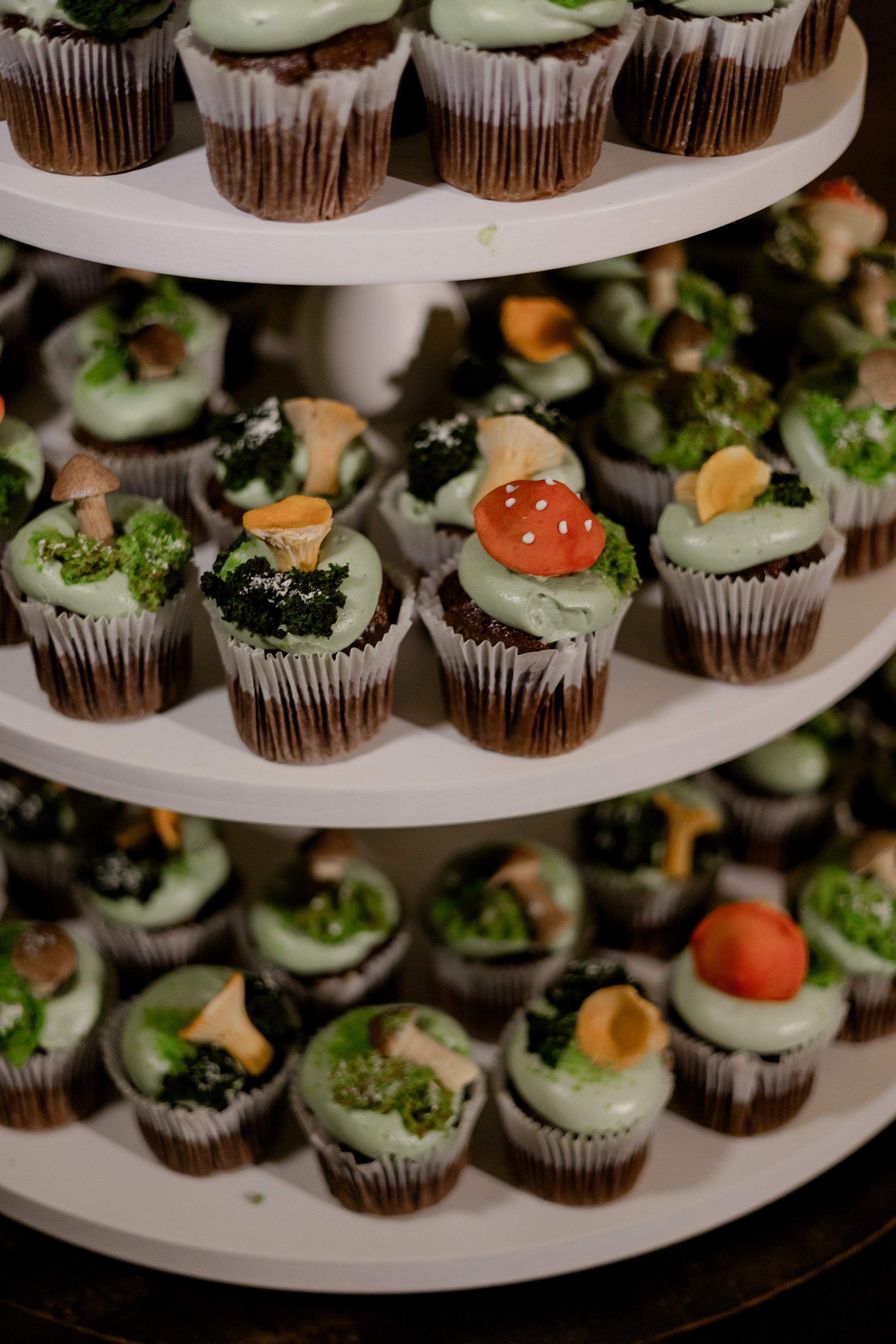 Виноградники. Dima Lemeshevsky