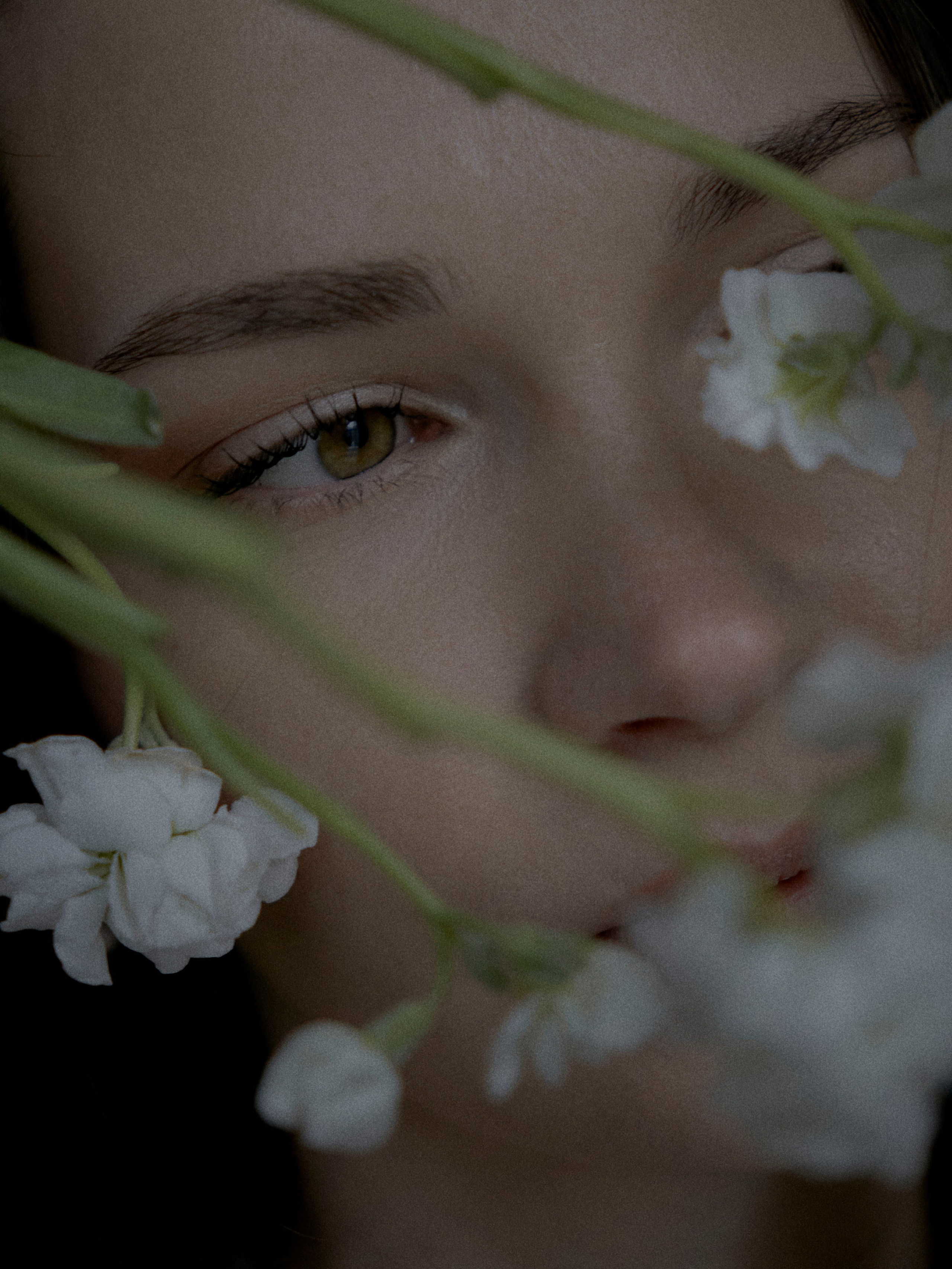 Кадры. Vokueva's-footage