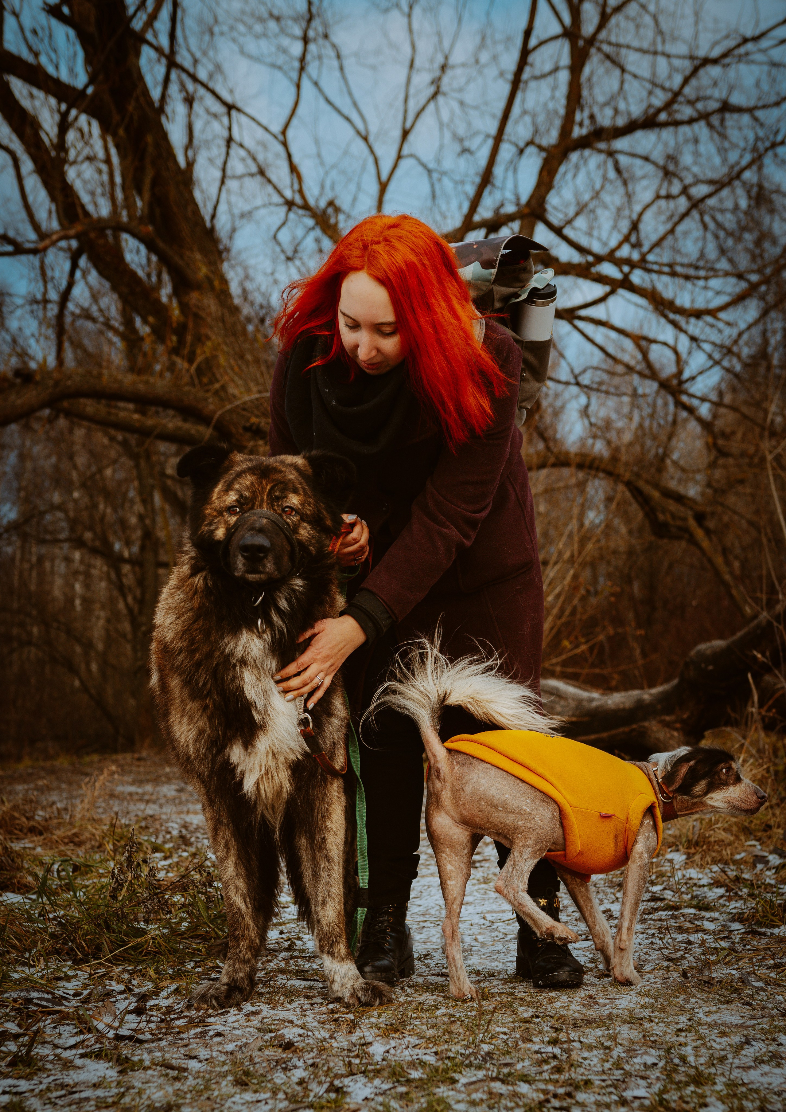 Творческая фотосессия фотографа анималиста. Фотограф анималист в Спб недорого Олеся Майорова