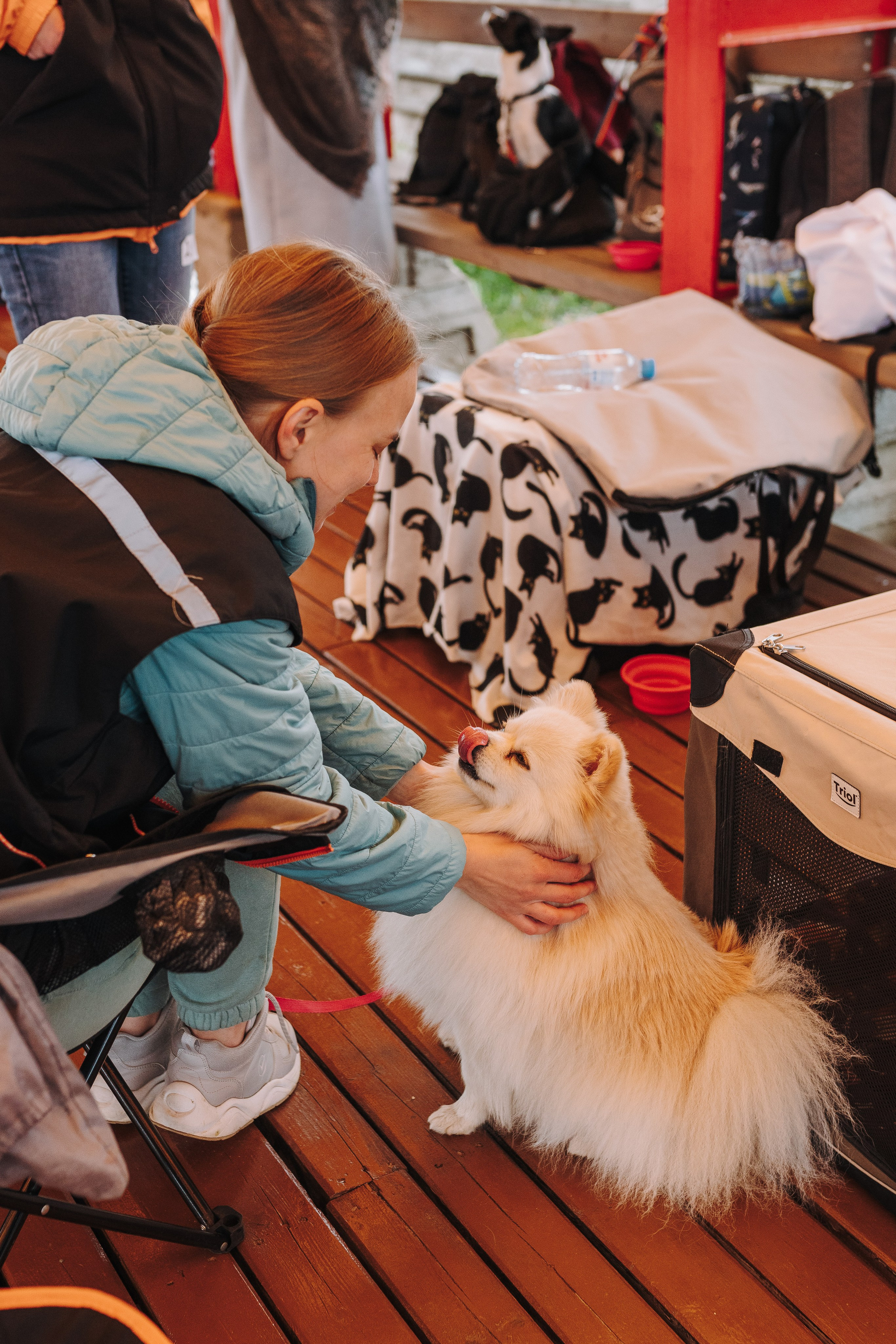 Соревнования по ноузворку в Лосево. Фотограф анималист в Спб недорого Олеся Майорова
