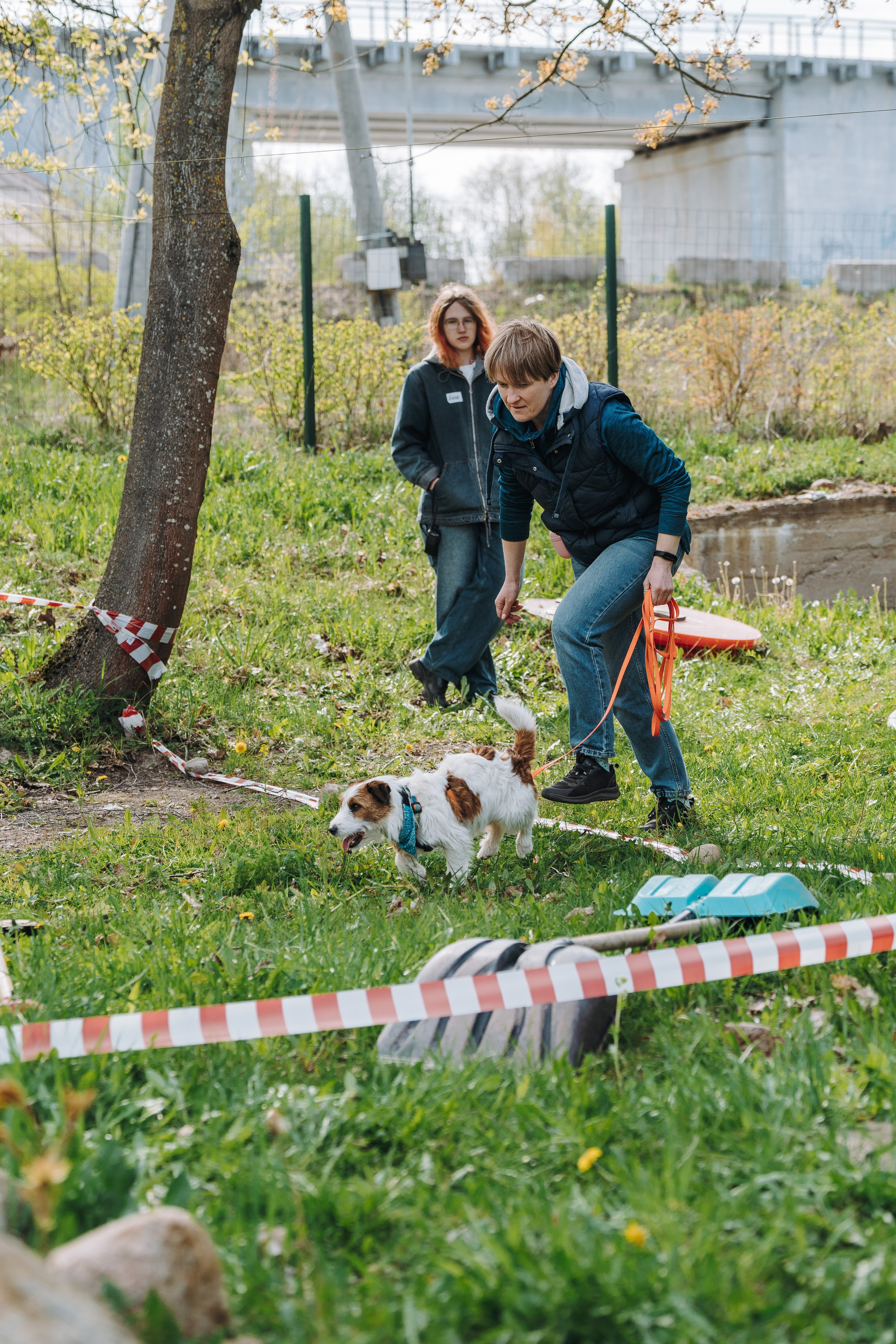 Соревнования по ноузворку в Лосево. Фотограф анималист в Спб недорого Олеся Майорова