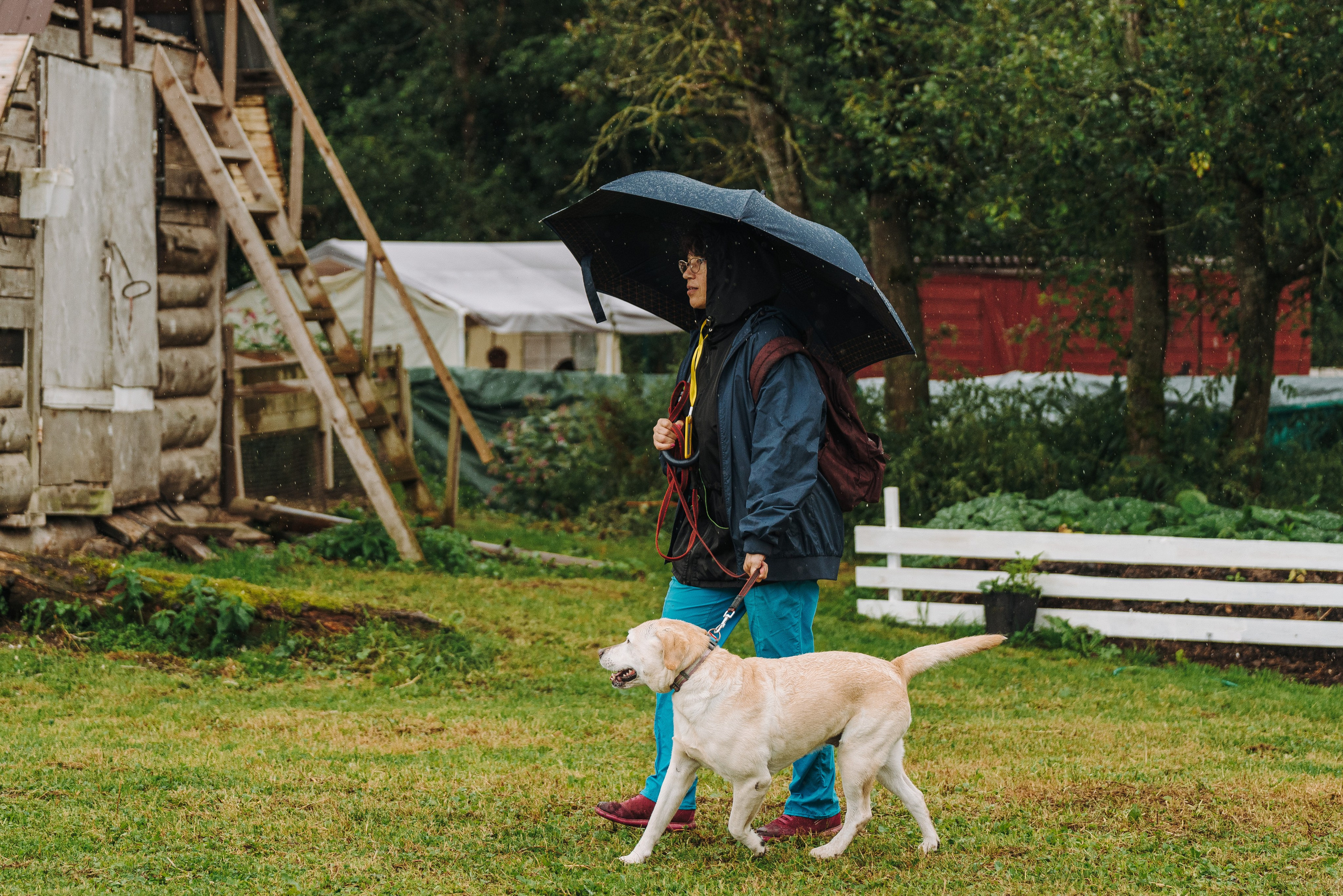 Соревнования по ноузворку в Новожилово. Фотограф анималист в Спб недорого Олеся Майорова