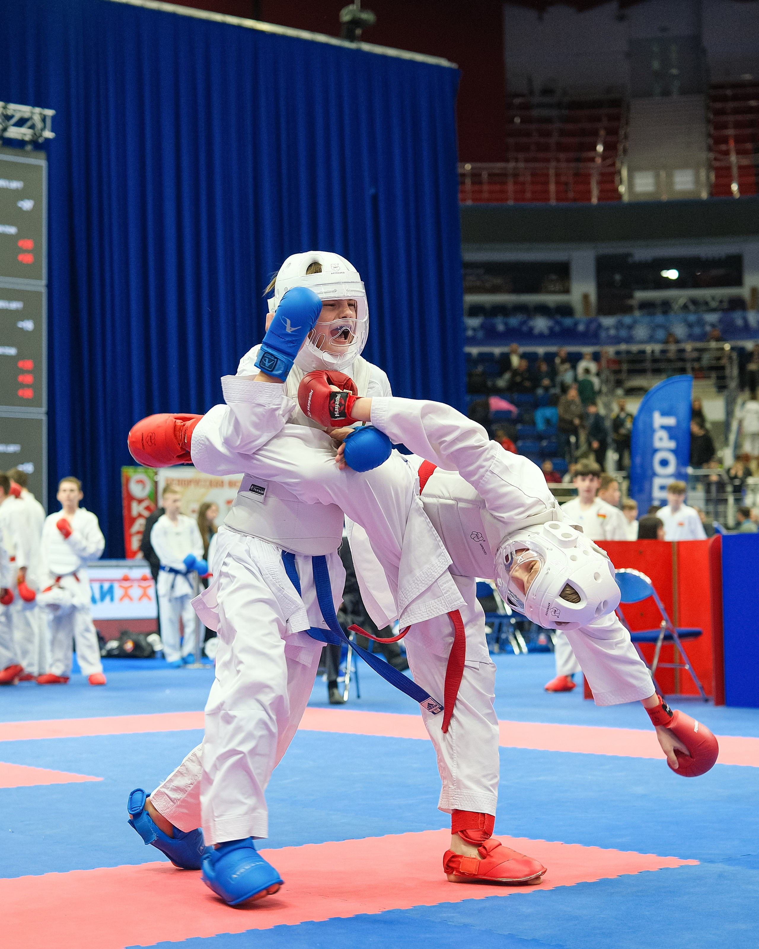 Международный турнир по карате «Belarus Open». Https://www.instagram.com/paparrazzio