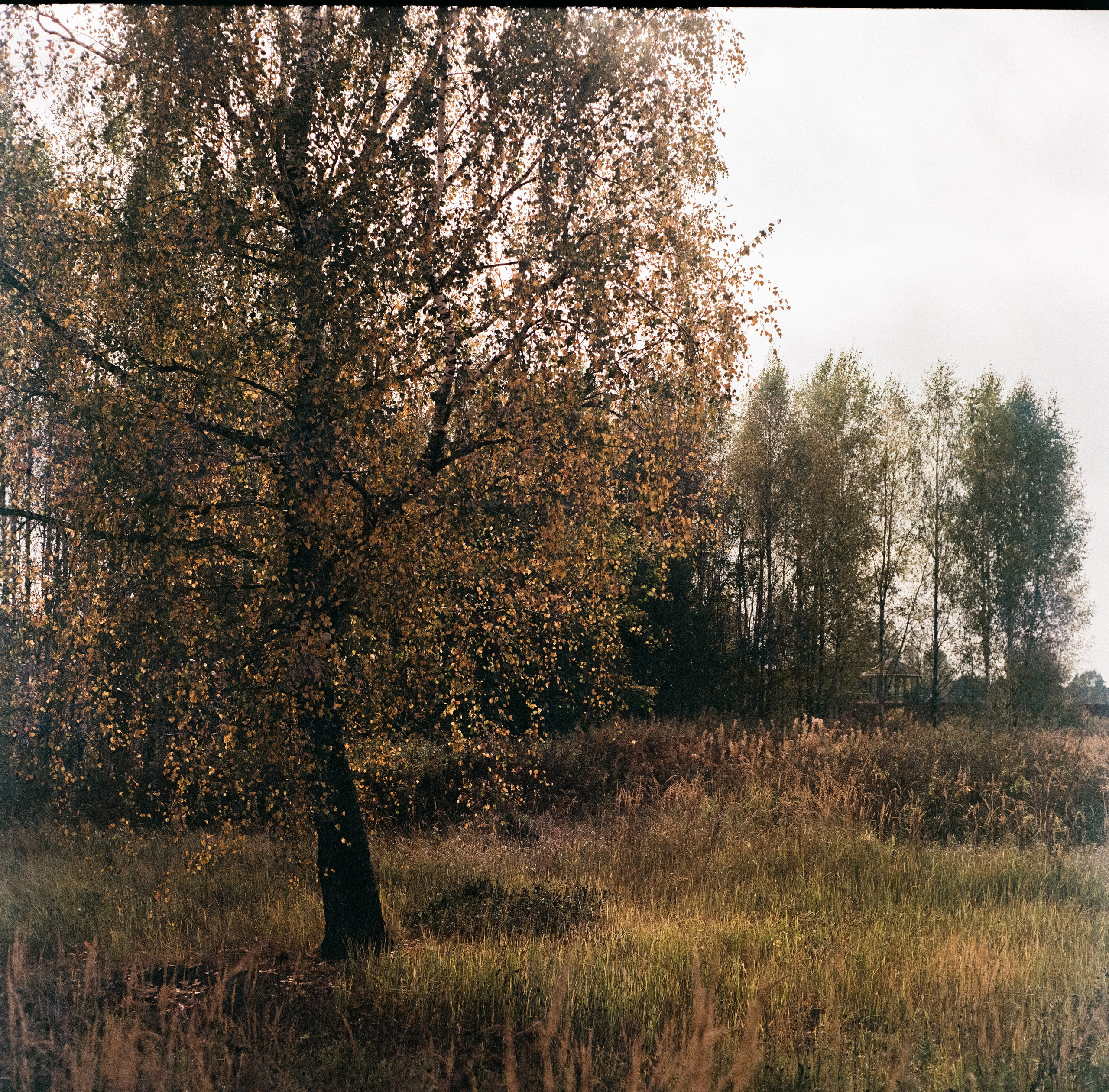 Kowa Six с объективом Kowa 85 mm f/2.8 / Fujicolor Super HR 100