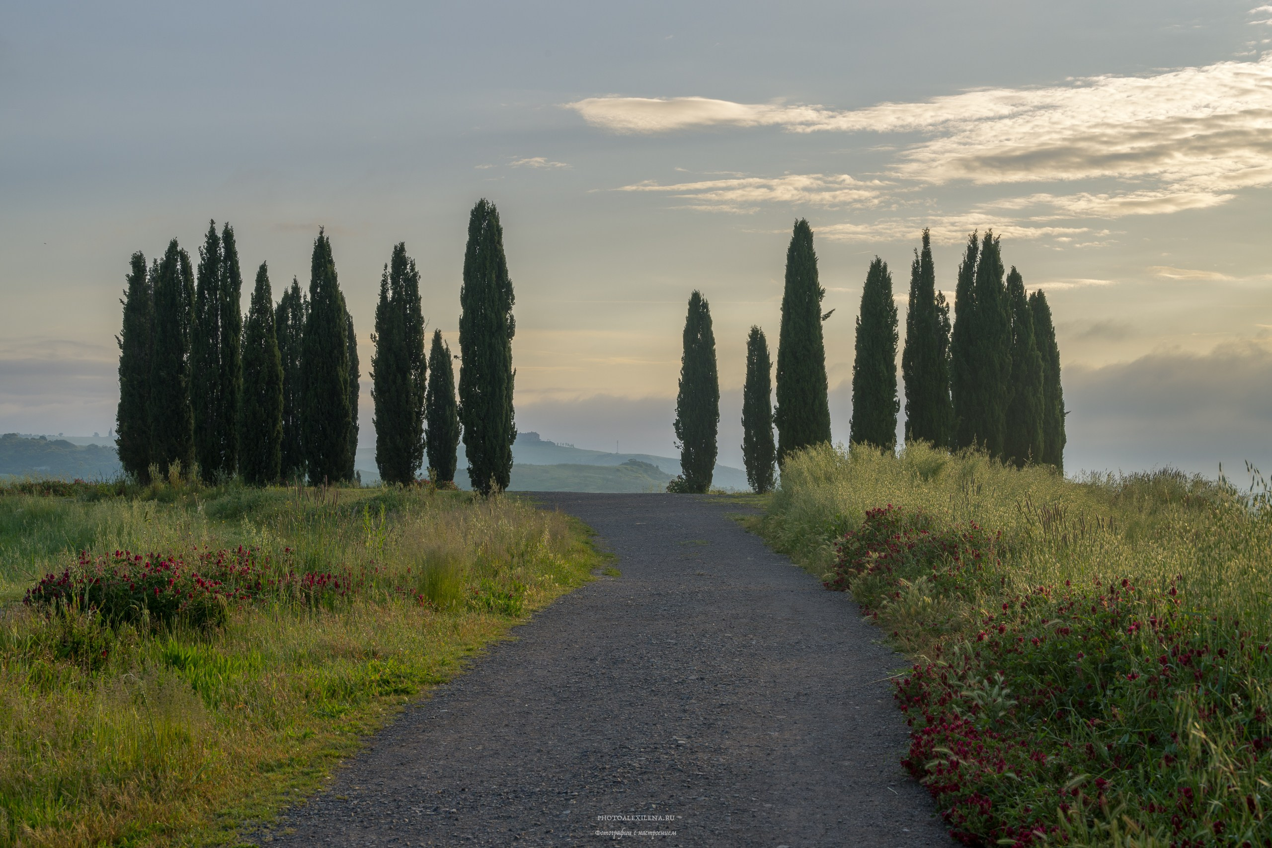 Великолепная Тоскана. Авторские стильные фотокартины