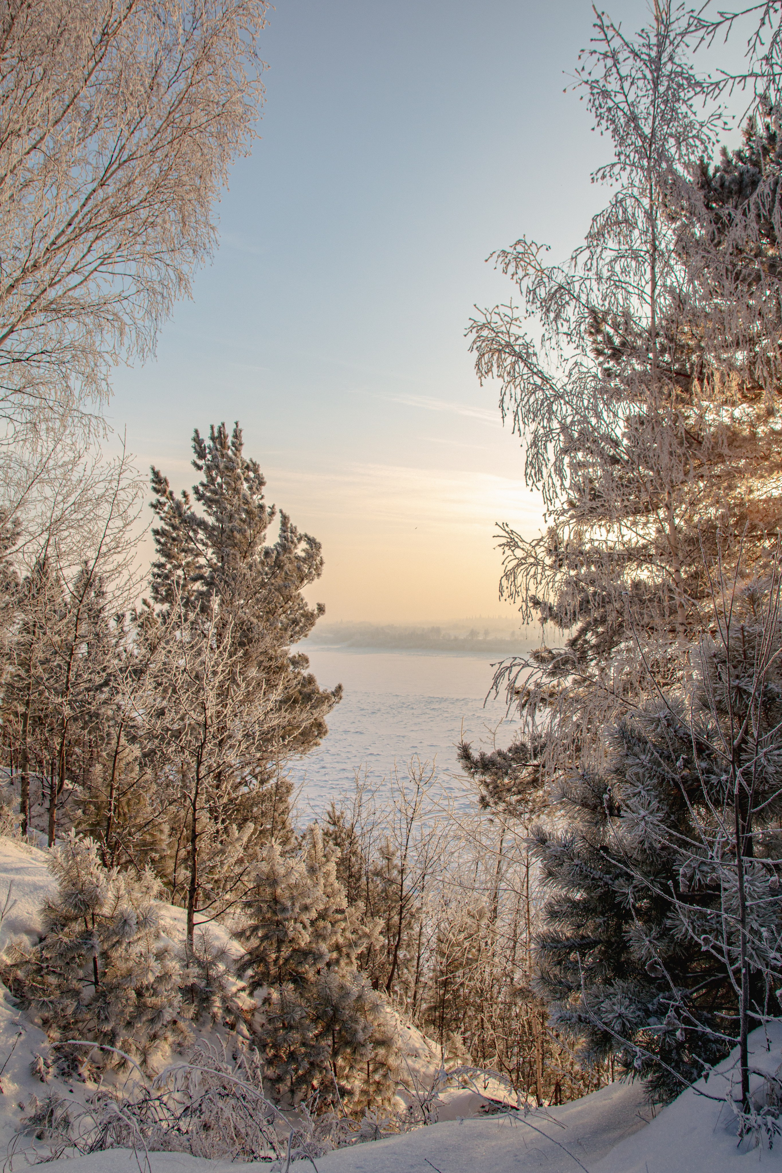 Зима. Ваш фотограф Северск | Томск