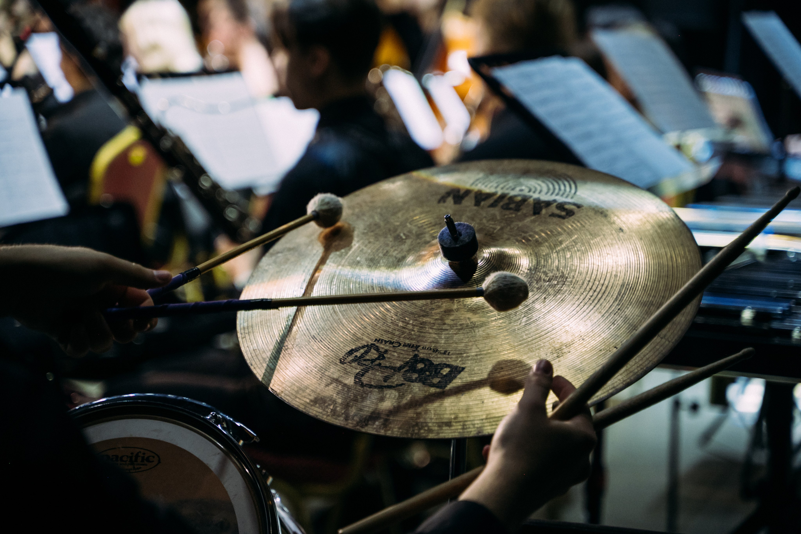 Симфонический оркестр. Фотограф в Волгограде Марина Черных