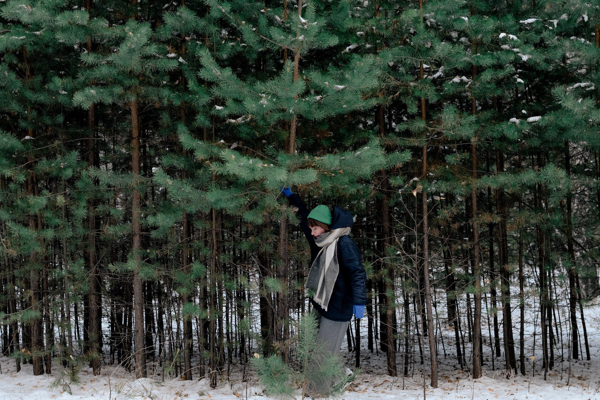 Уютная фотопрогулка в сосновом бору: идеи для фотосессии