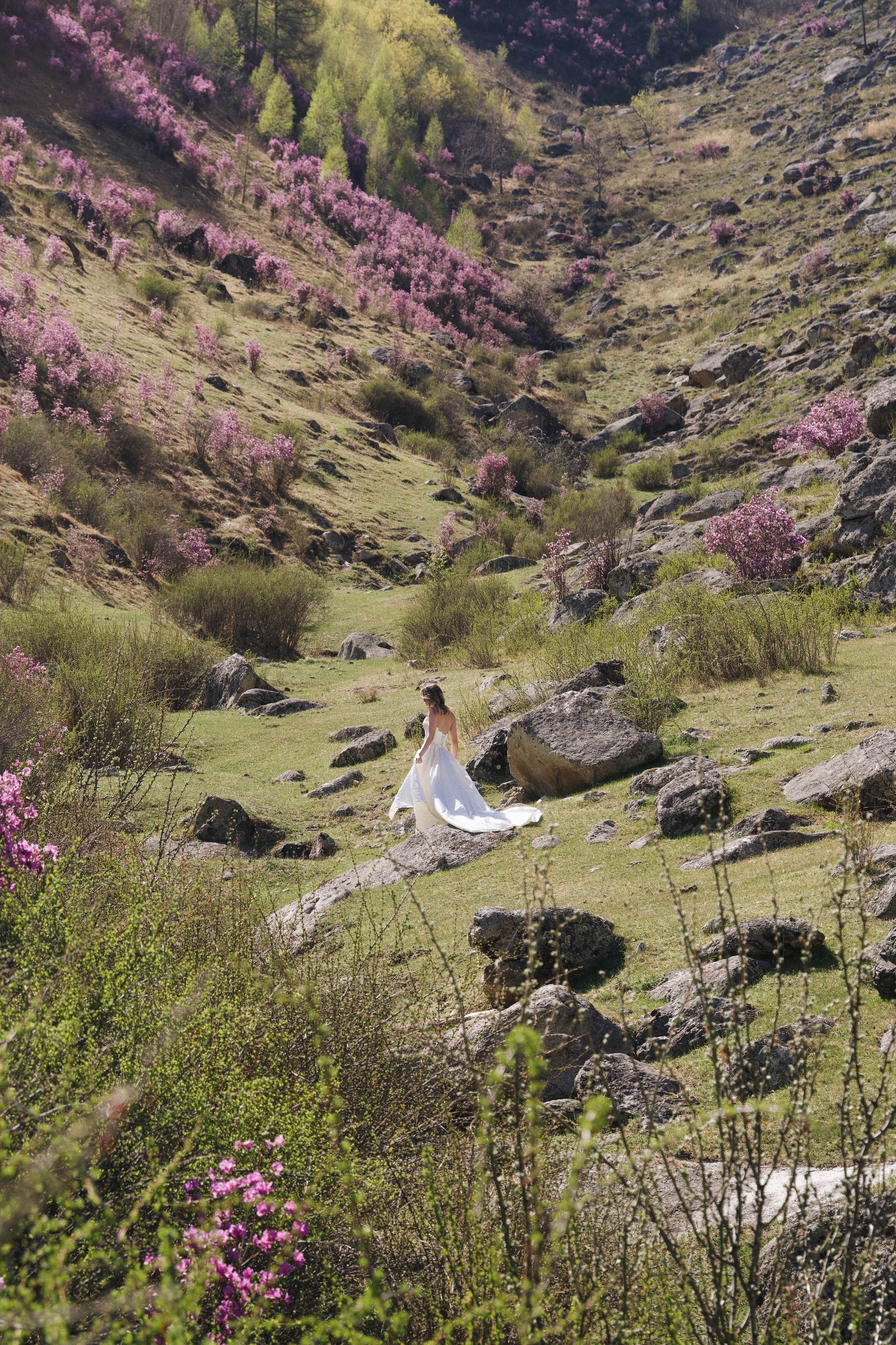 Bonfilia. Photokoval.ru