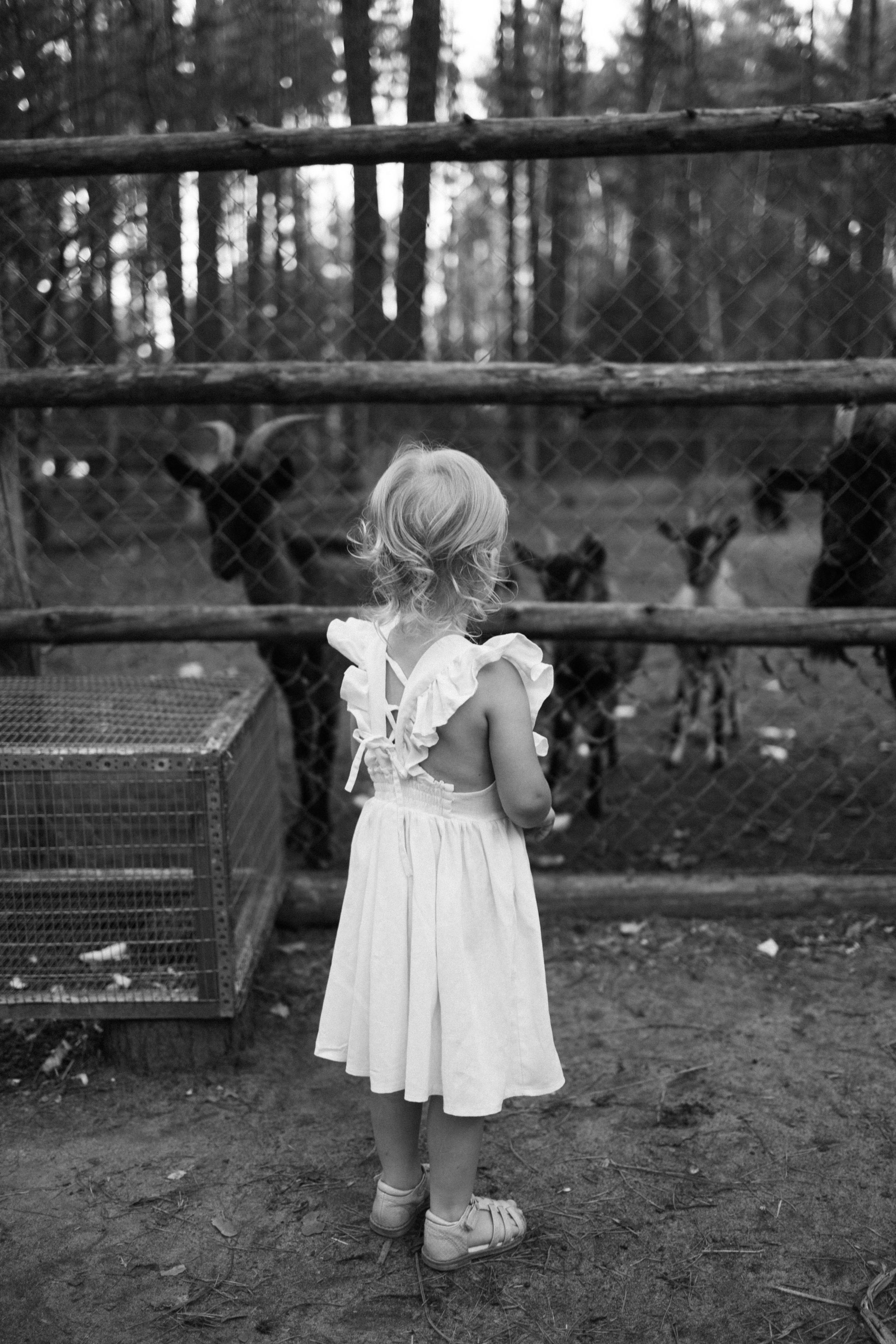 Самое важное в жизни. Фотограф в Ставрополе Карабанова Юлия