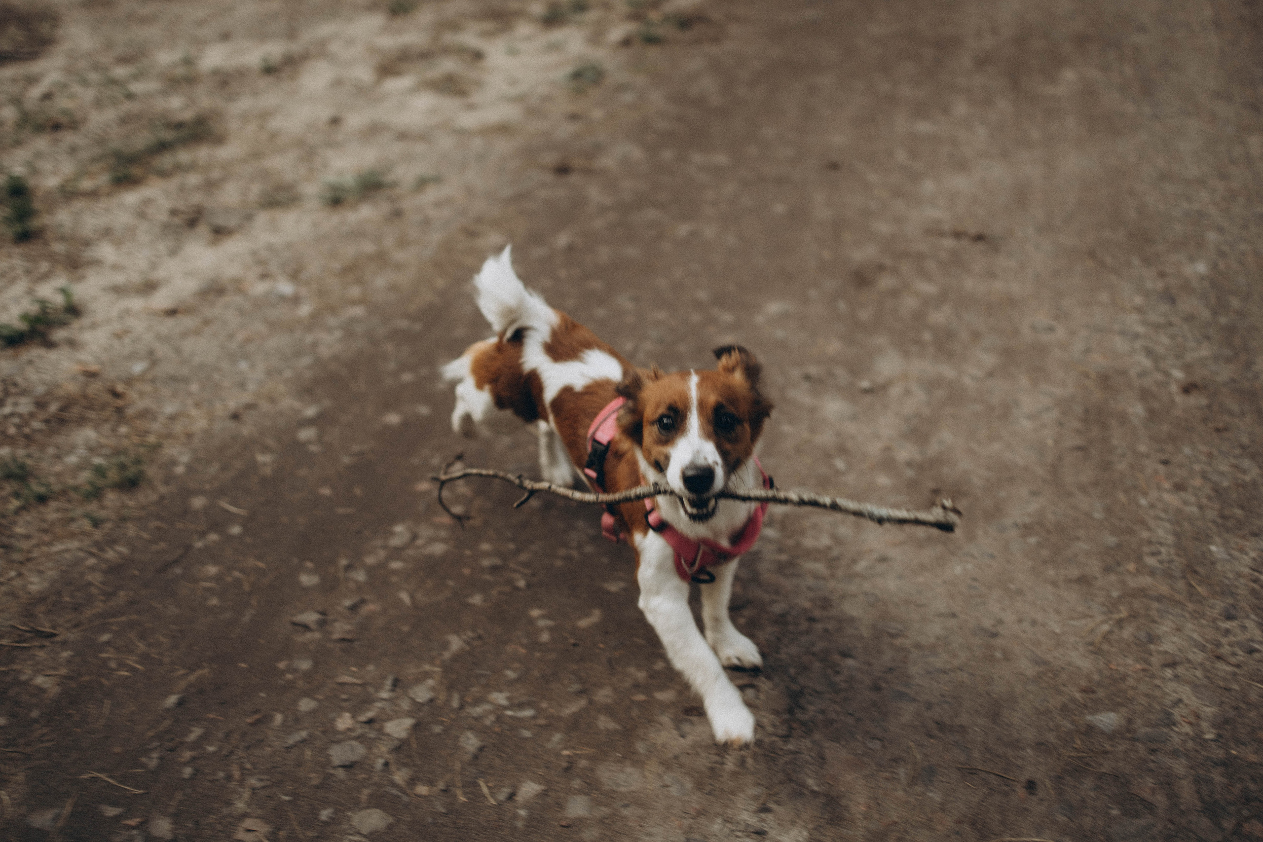 Самое важное в жизни. Фотограф в Ставрополе Карабанова Юлия