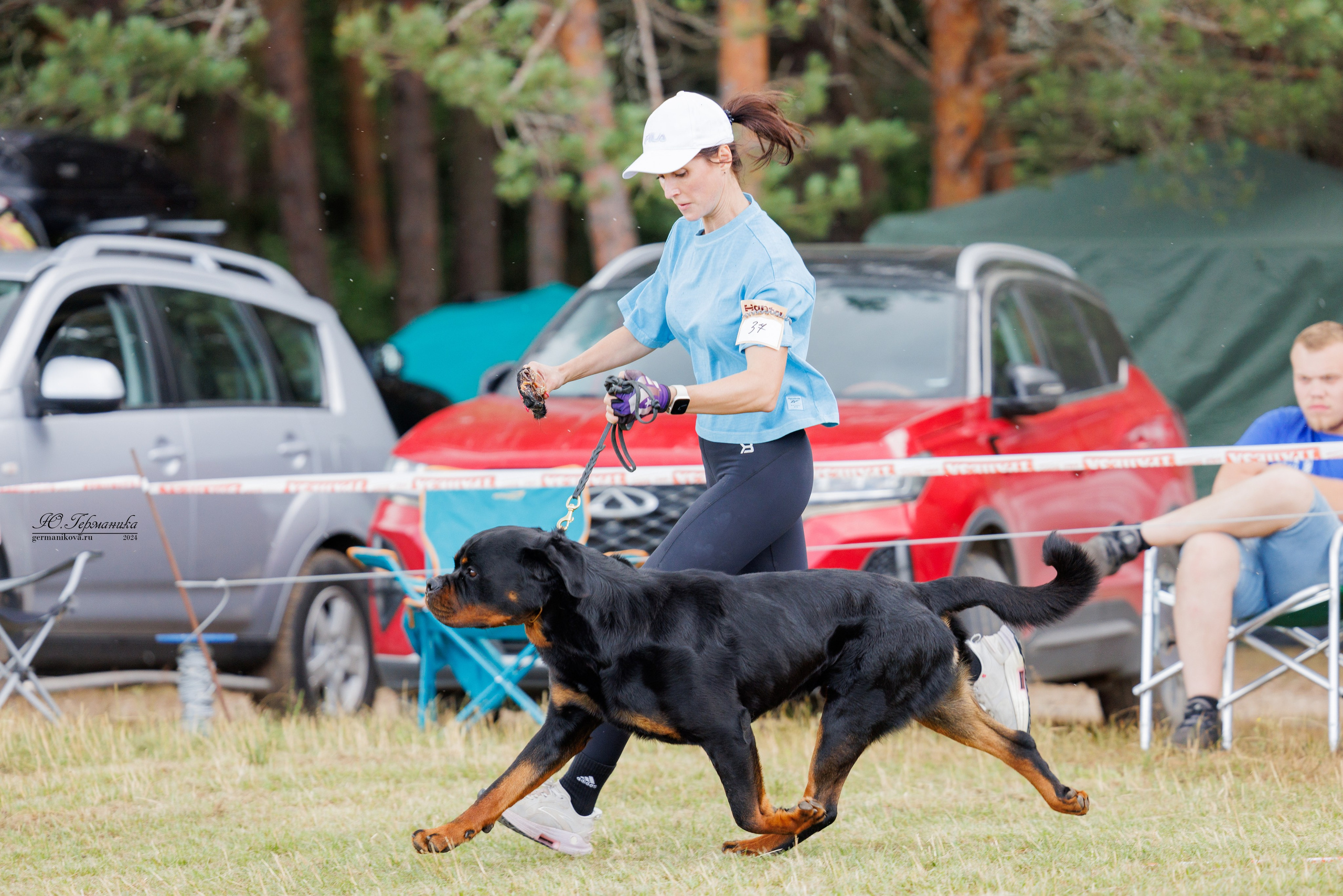 ПК и КЧК ротвейлеры Тверь 6-7.07.2024. Фотограф-анималист Юлия Германика