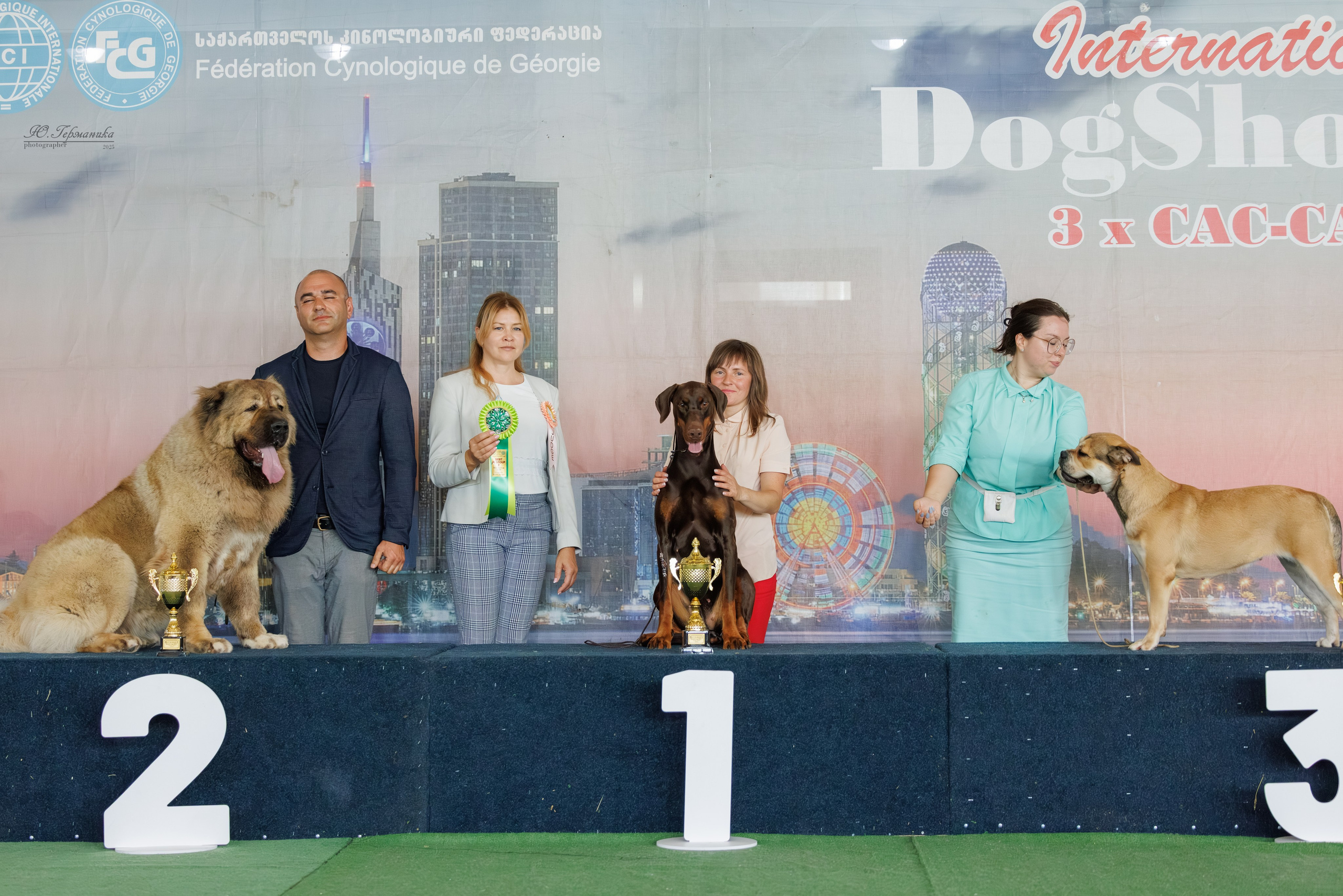 Батуми 3хCACIB 27-29.06.2025. Фотограф-анималист Юлия Германика