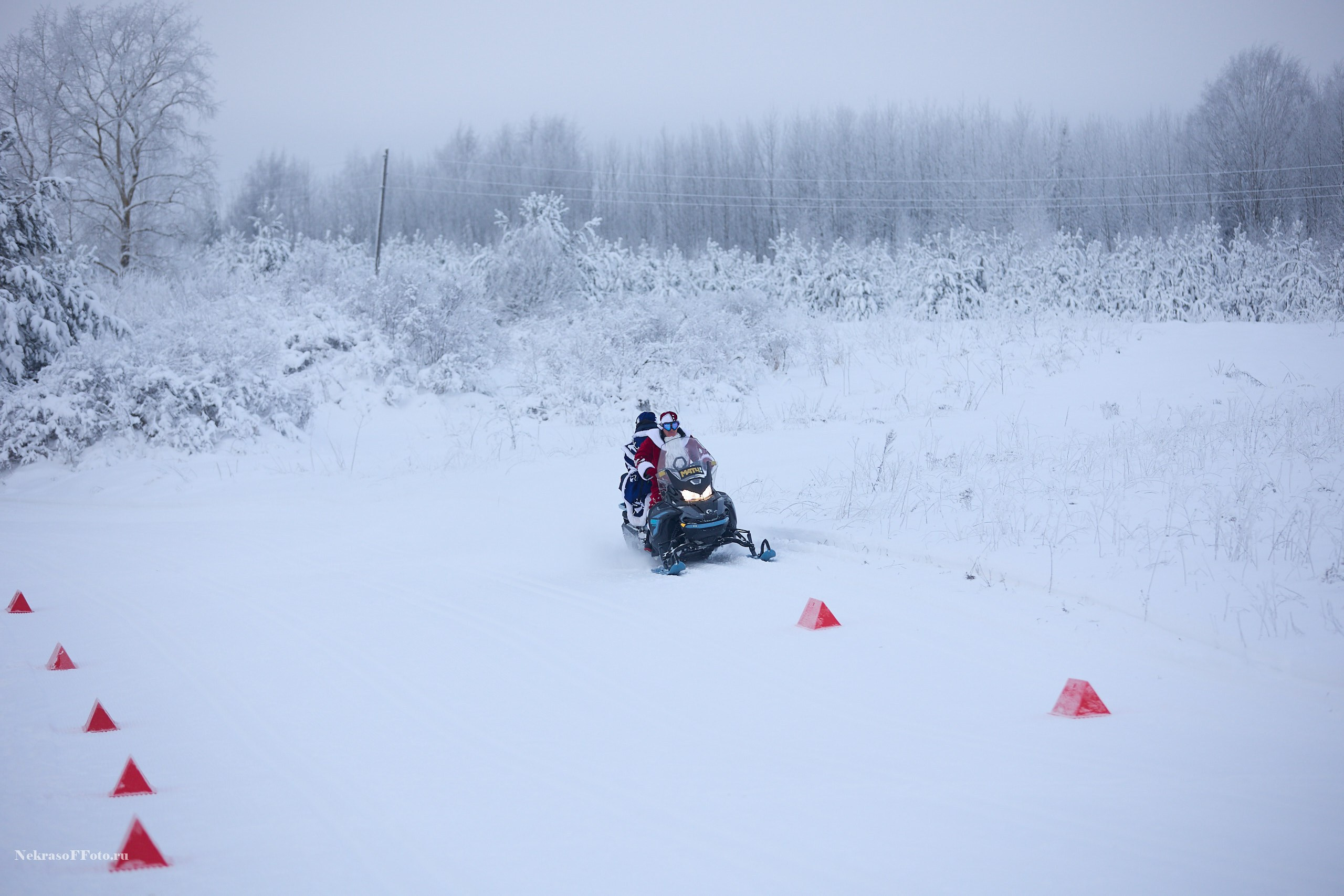 Кубок России по Лыжным гонкам. Спортивный фотограф Некрасов Денис