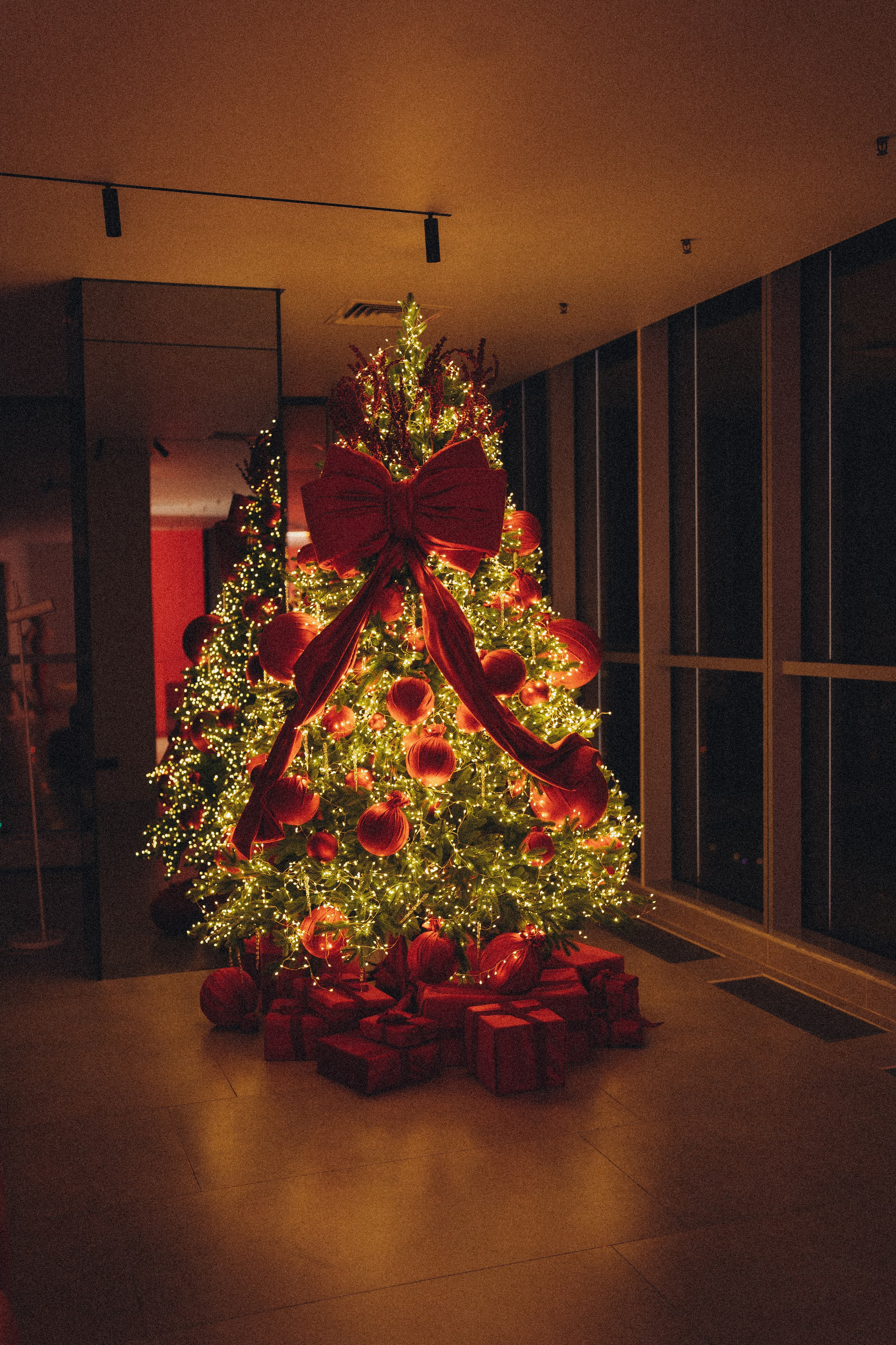 ФОТОСЕССИЯ К НОВОМУ ГОДУ В СТУДИИ С ЕЛОЧКОЙ КРАСИВЫЙ ОБРАЗ. Профессиональный фотограф, Санкт-Петербург — Виктория Богомолова