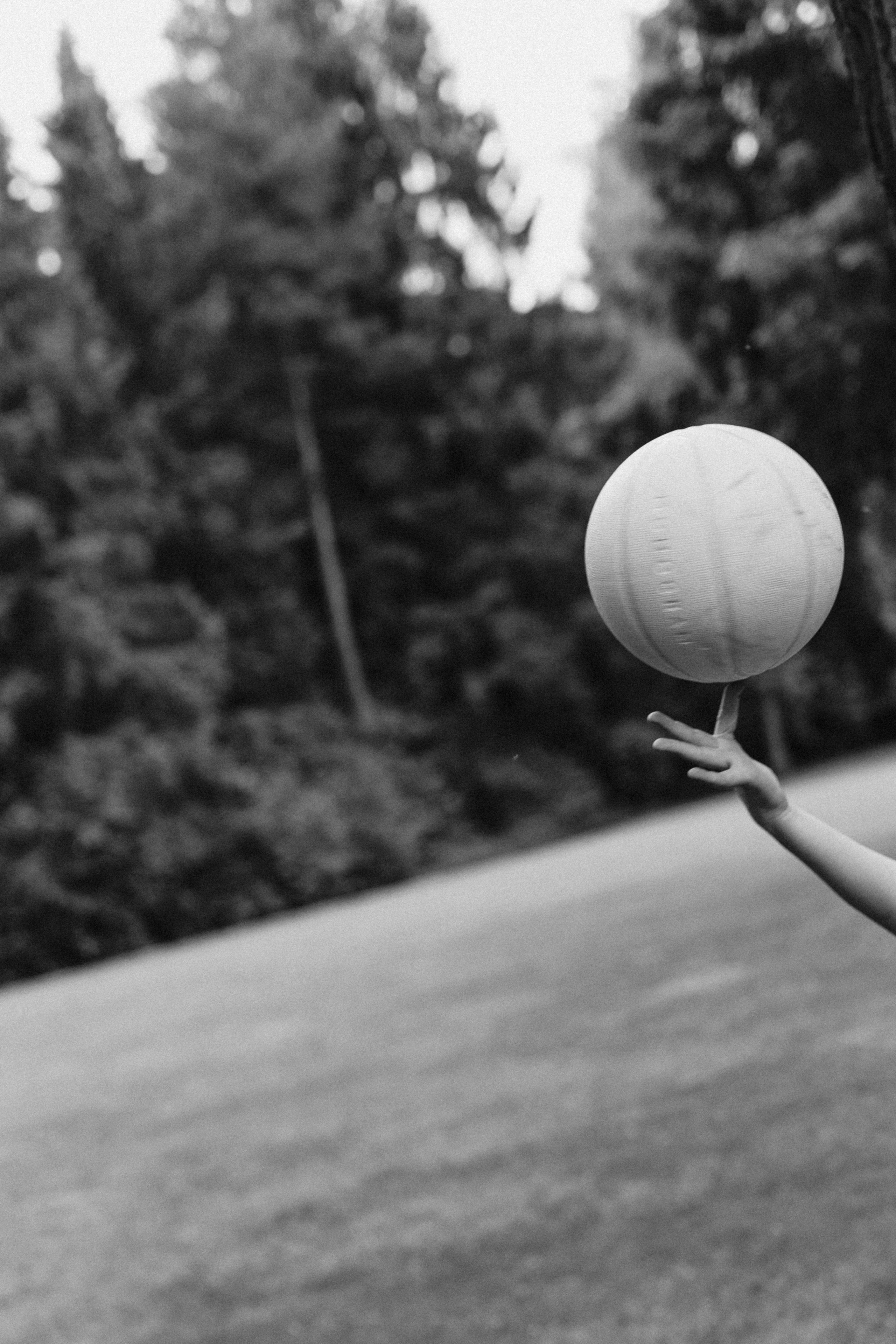 Hoops and Hearts. Свадебный фотограф в Москве Дмитрий Тарасов