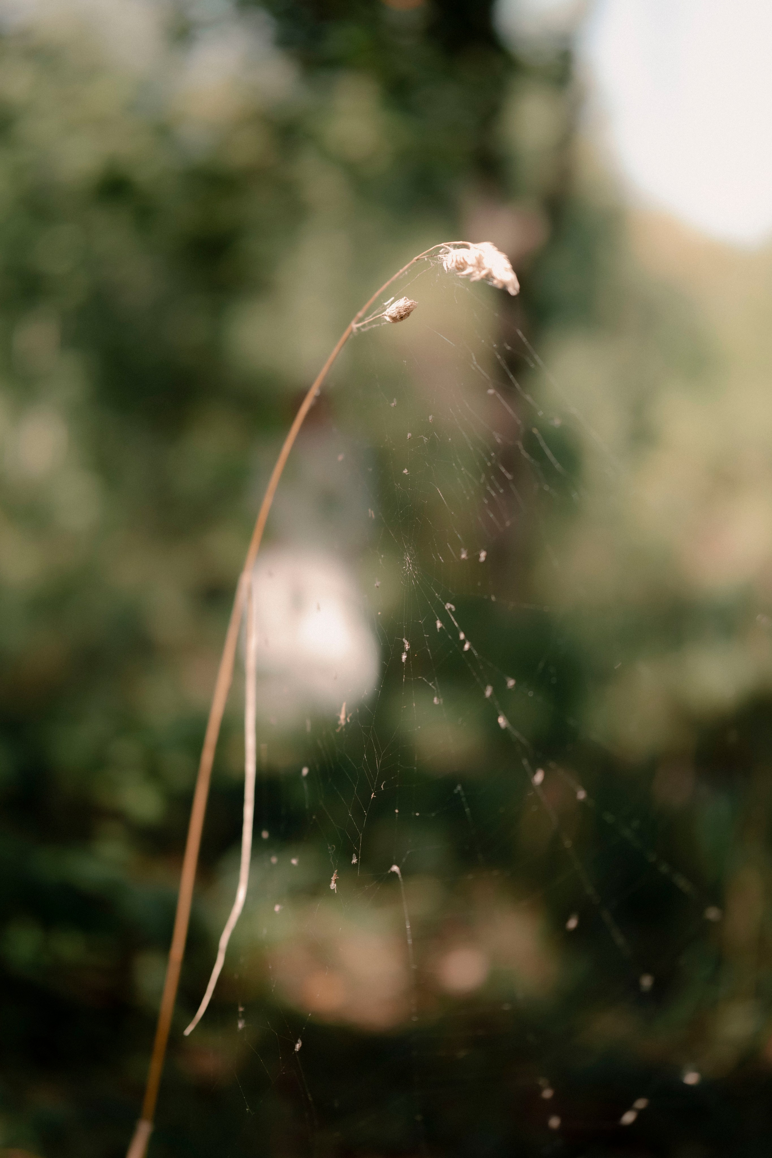 Пейзажи. Фотограф Димитровград Казань Валерия Владимиркина