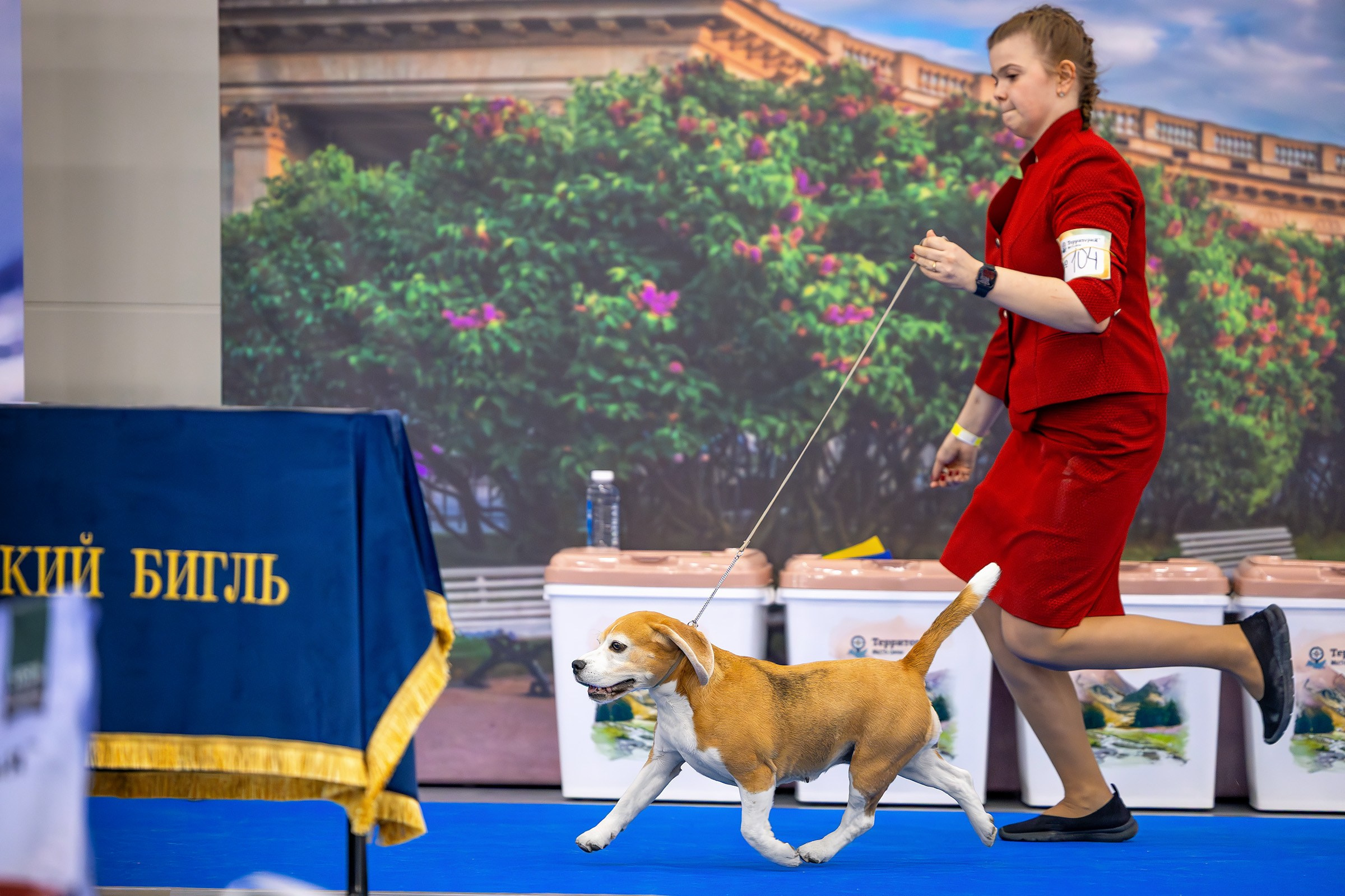 26–27 апреля 2025, Выставка РКФ, г. Санкт-Петербург. Htykk_photo