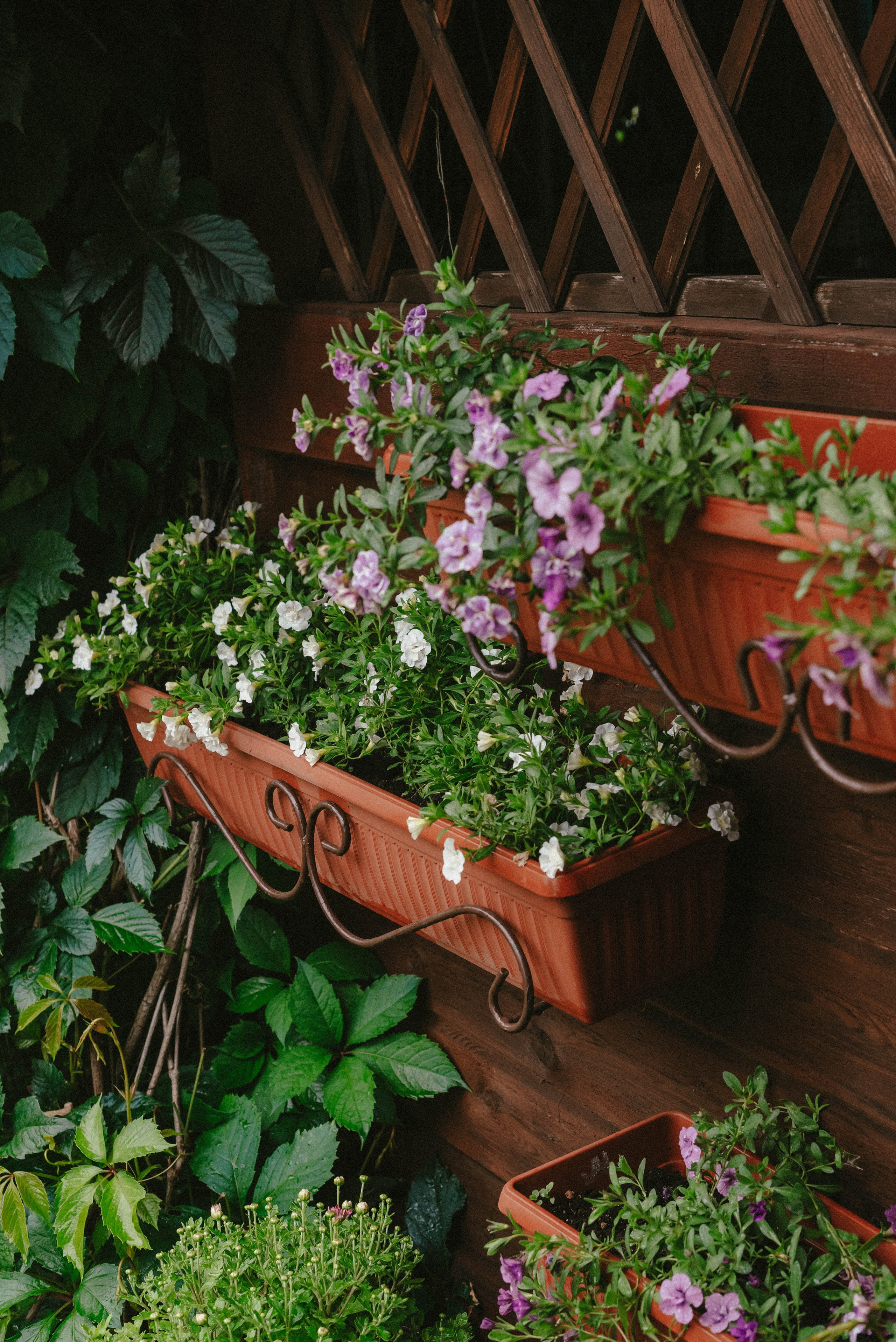 Лесное царство Оксаны. Свадебный и семейный фотограф в Новосибирске, Санкт-Петербурге, Москве
