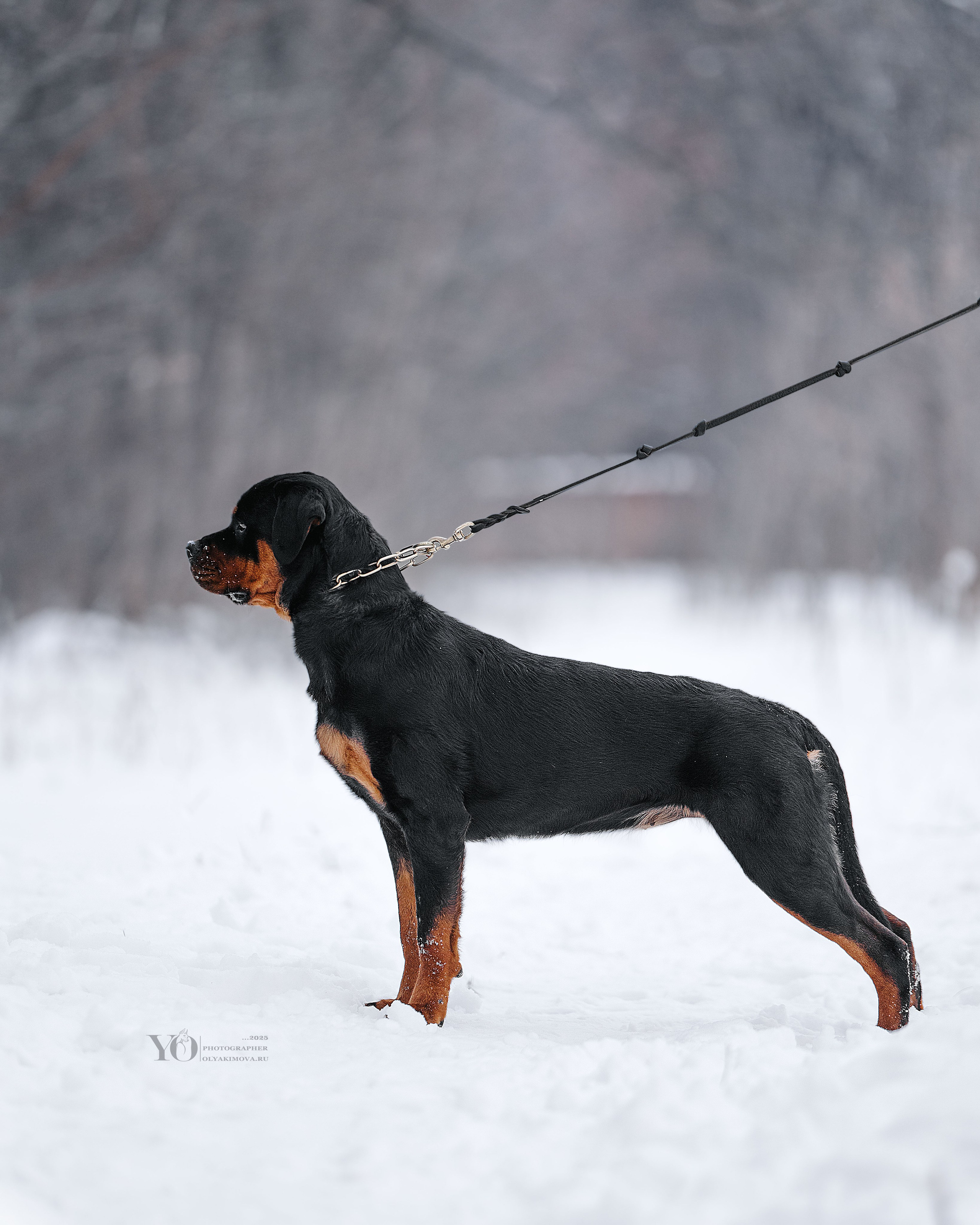 Экстерьер. Фотограф