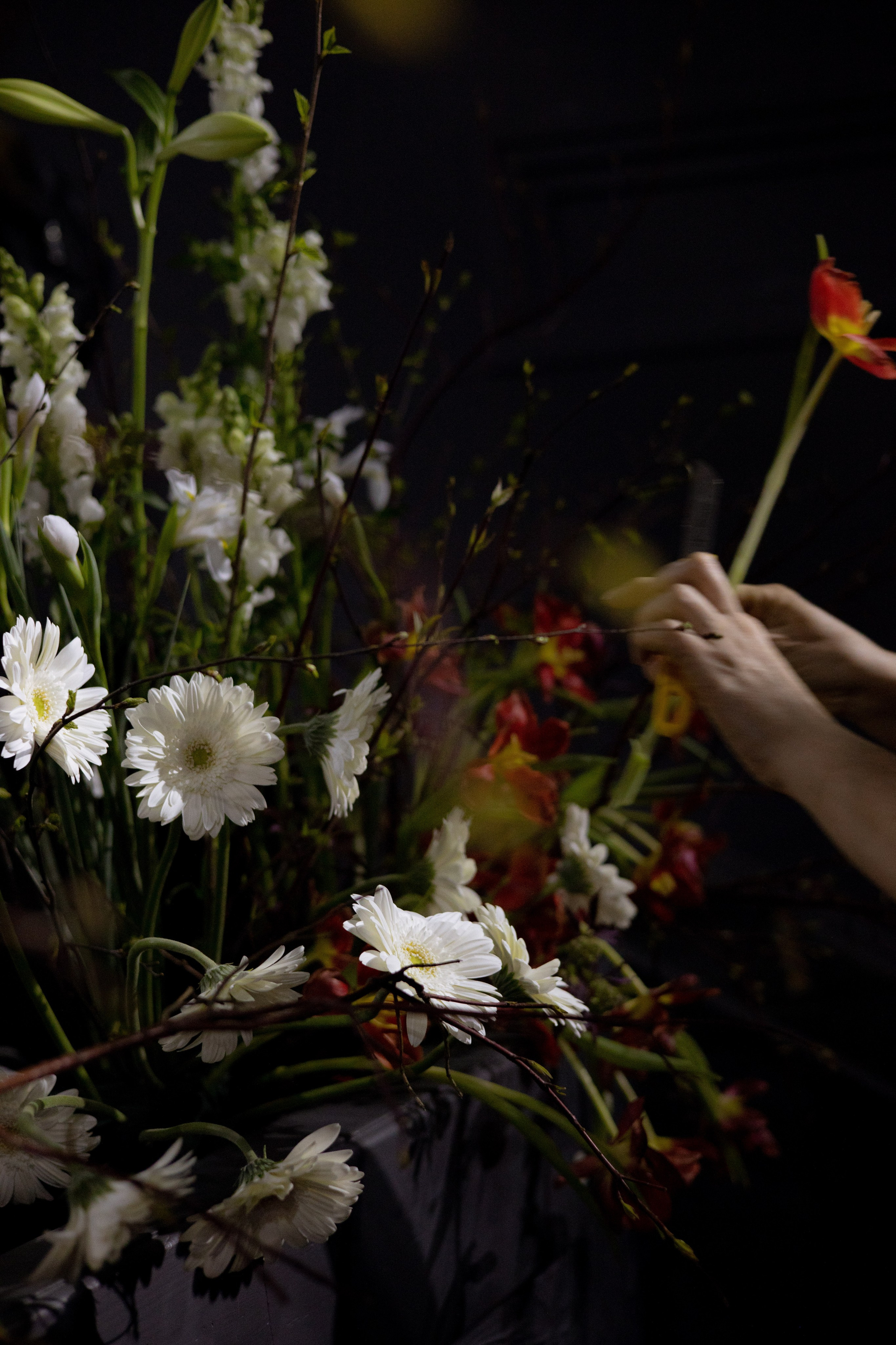 Оформление Отчетного концерта Музыкальной школы Глазунова. Оформление свадеб, декор свадеб Вера Маркова, Москва