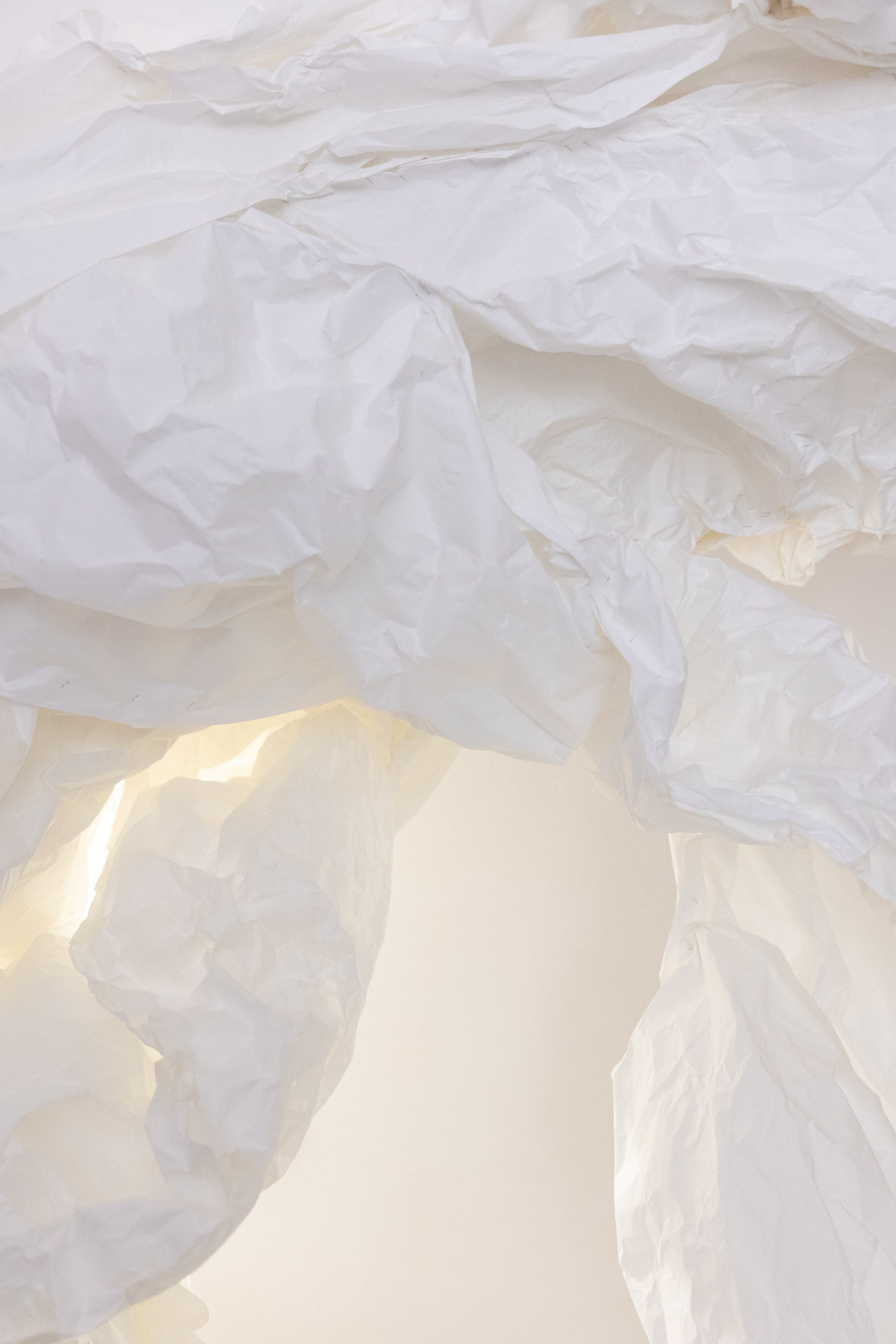 Настя & Дима. Оформление свадеб, декор свадеб Вера Маркова, Москва