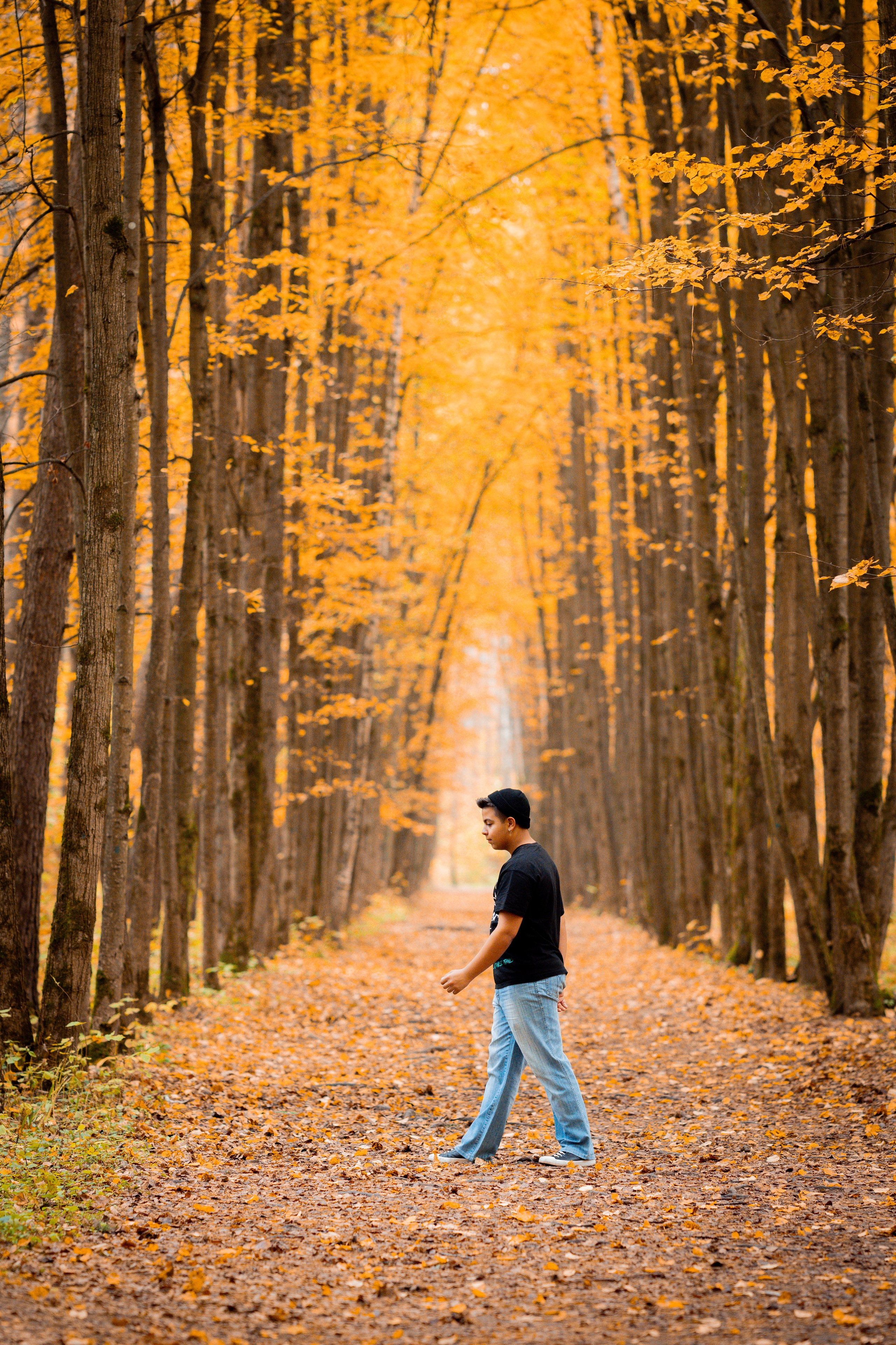 Осень. Фотограф Юлия Попова