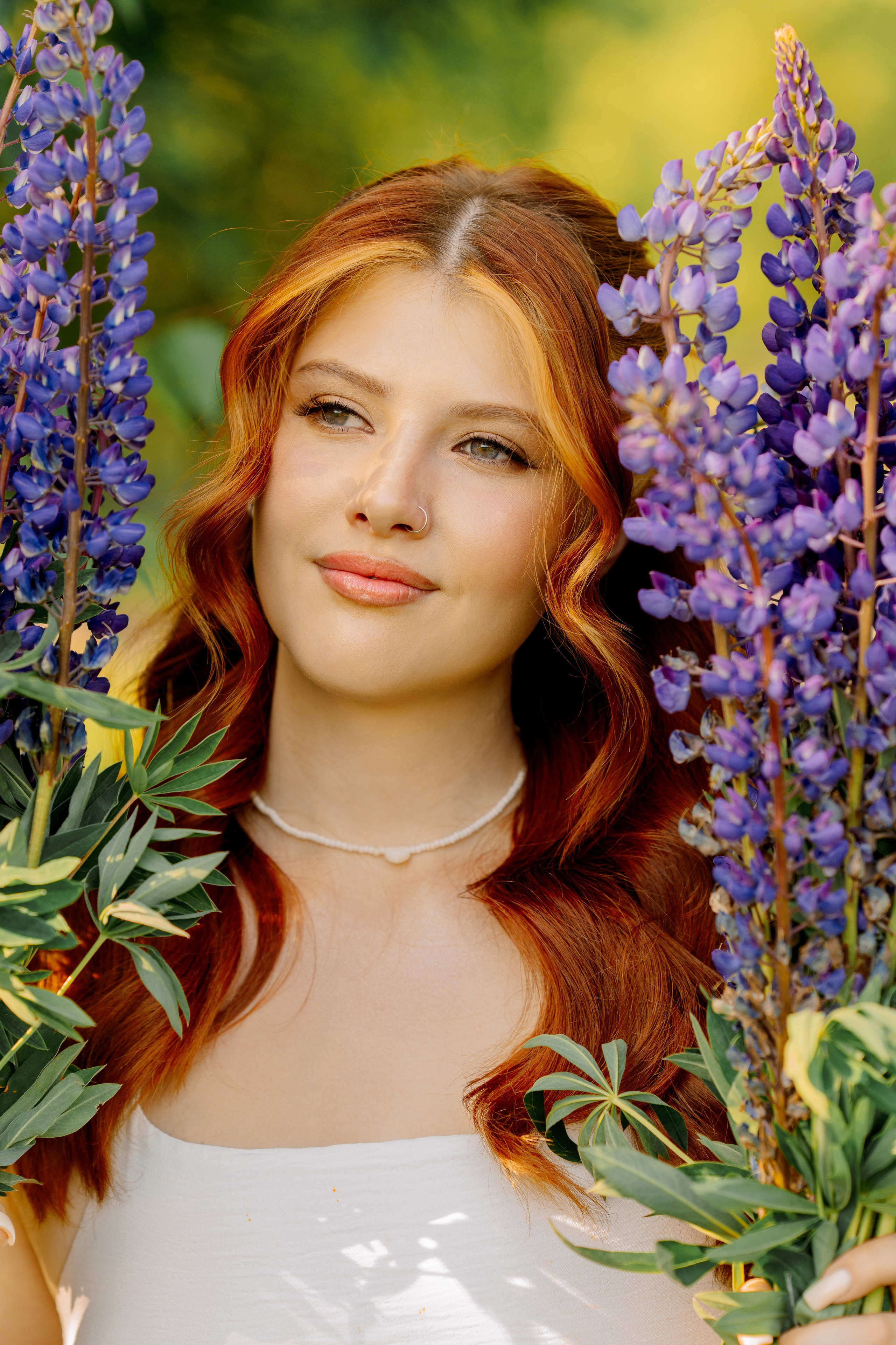 Люпины. Фотограф Юлия Попова