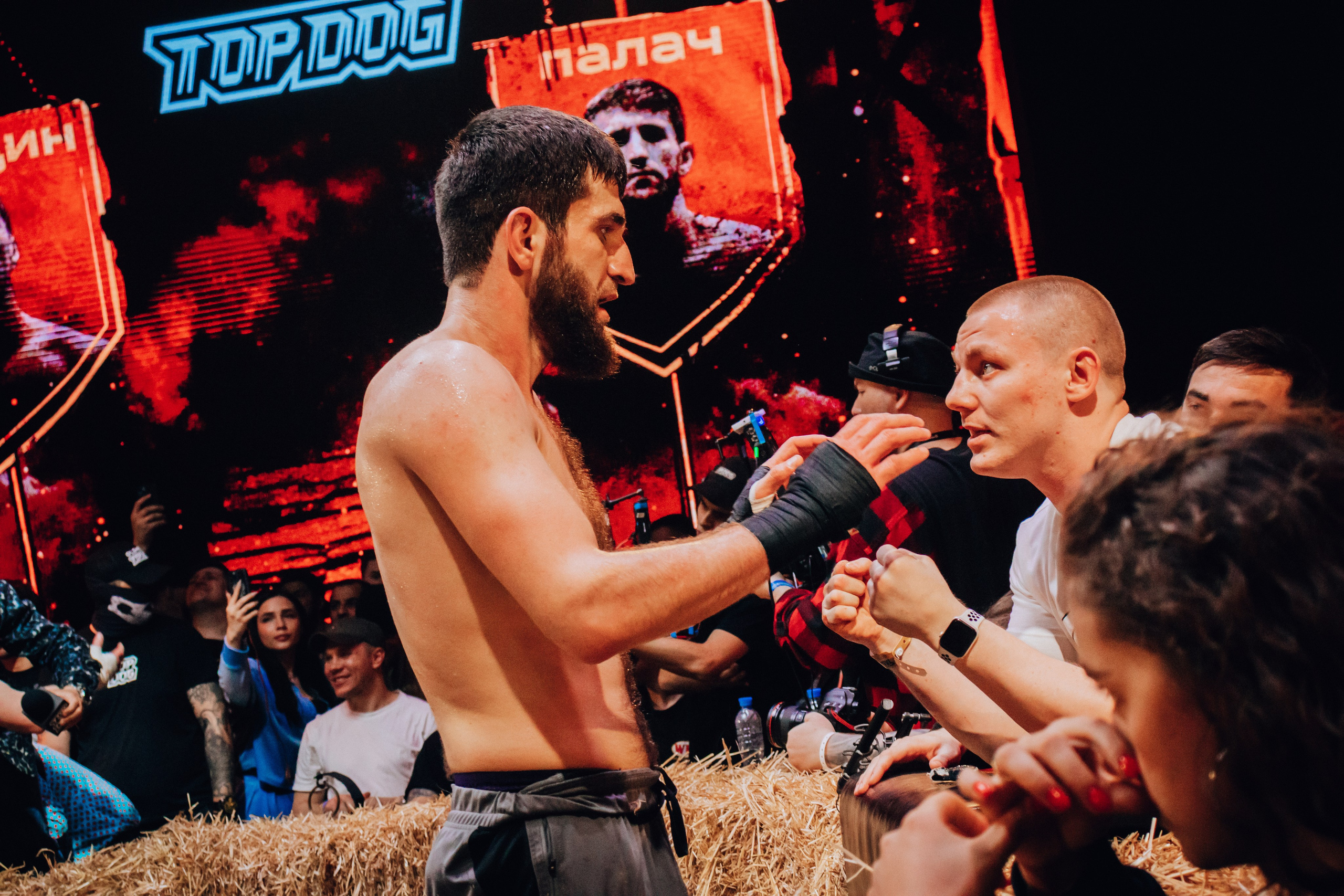 Кулачные бои TopDog. Анастасия Тен