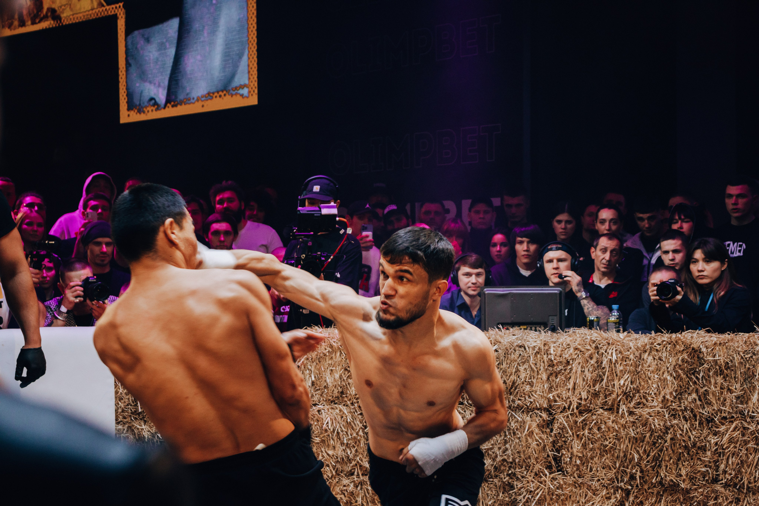 Кулачные бои TopDog. Анастасия Тен