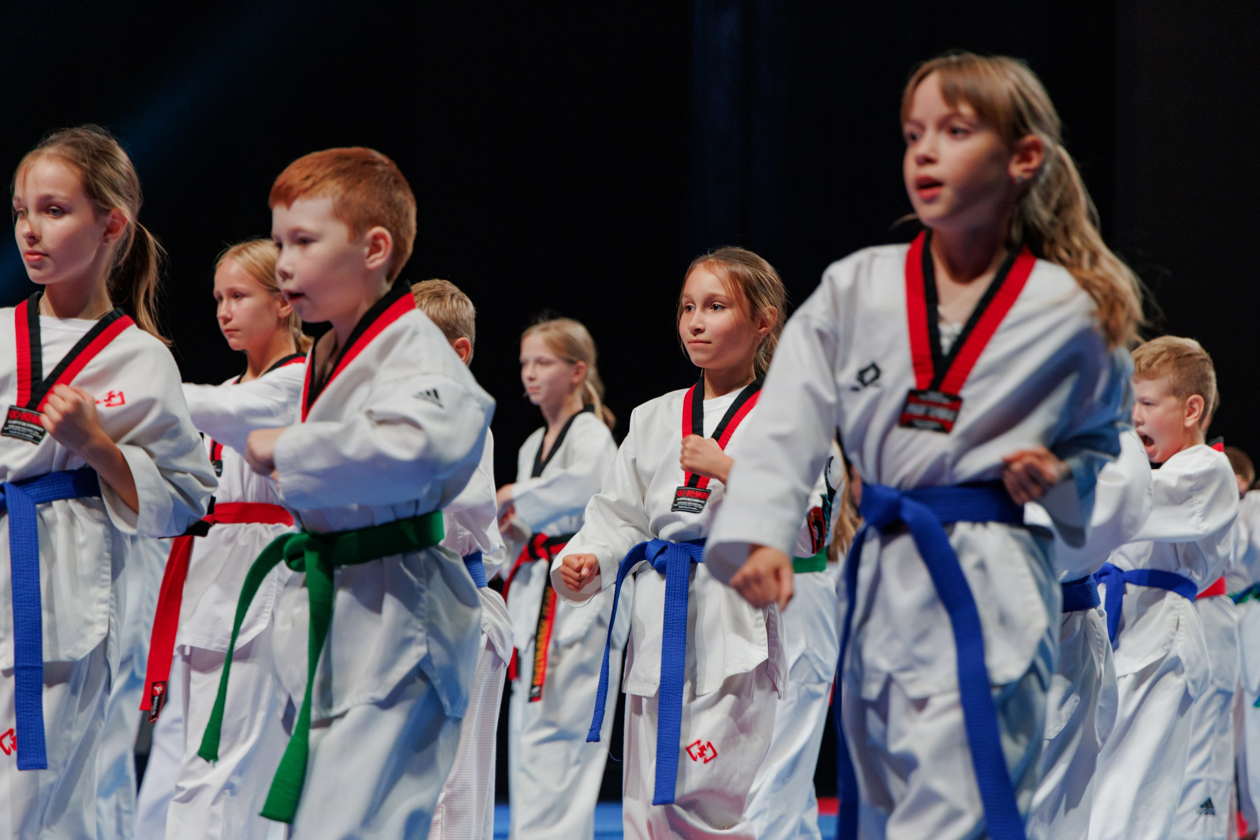 ПроТхэквондо Тур | Финальный этап