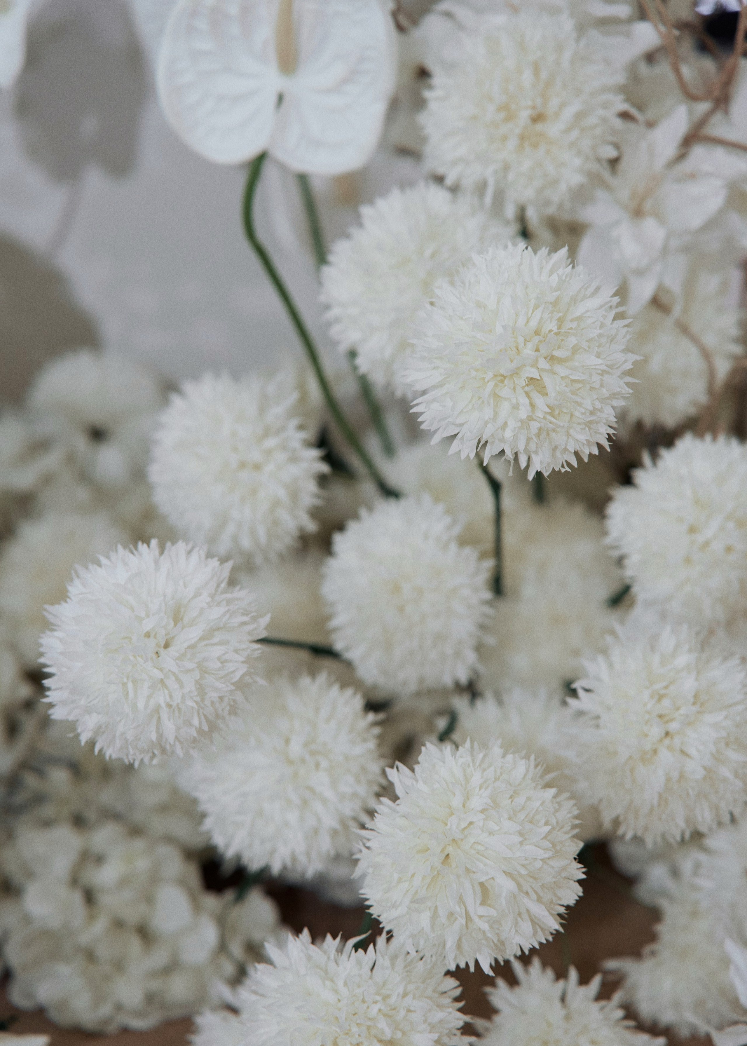 Ервант & Любовь. Свадебный фотограф Кристина Вениченко