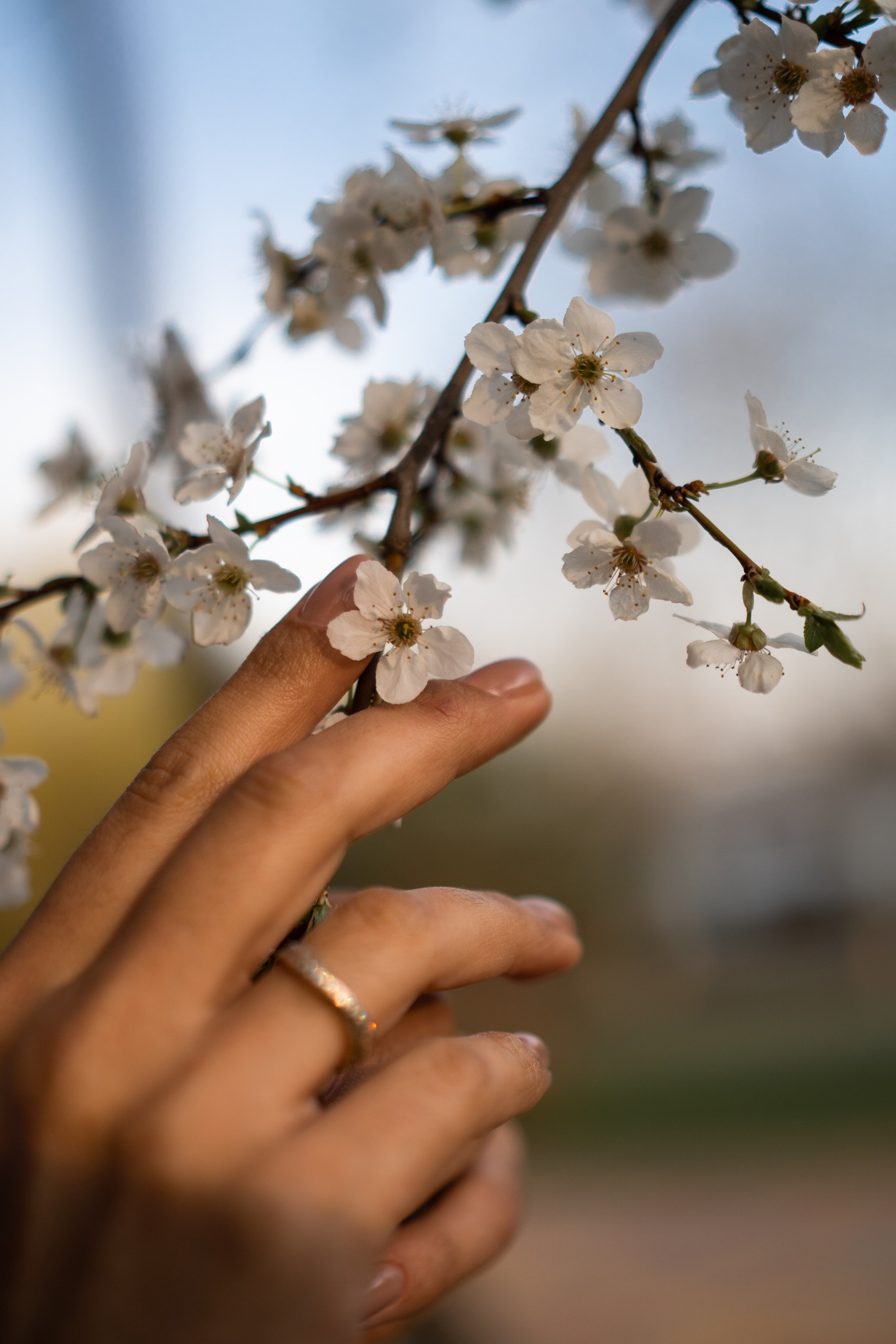 Весна пришла!. Семейный фотограф и видеограф Алёна Ким