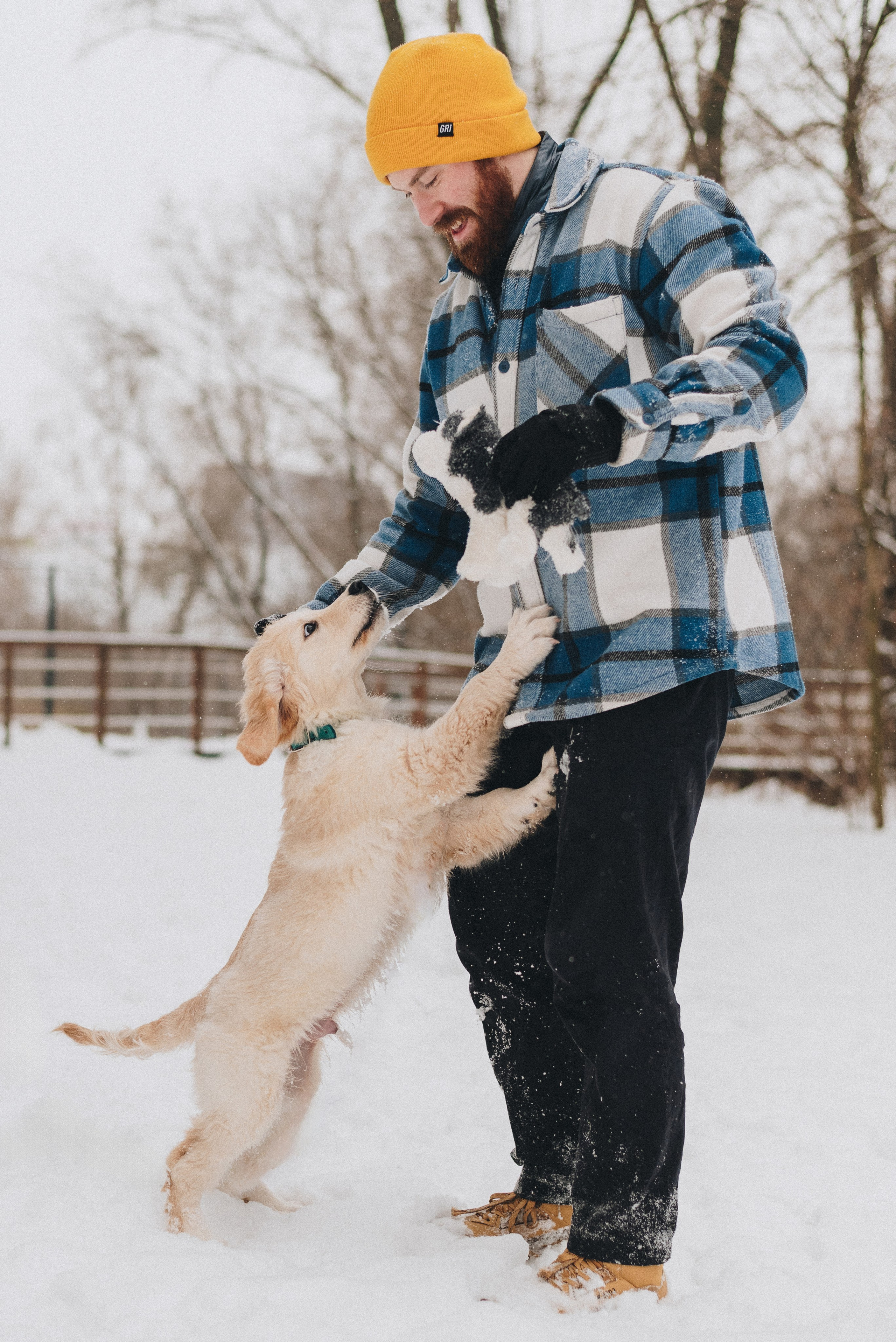 Sonia, Denis & Baggi. Natalia Finch Photography — Family, Kids & Pet Photographer in Chicago, IL