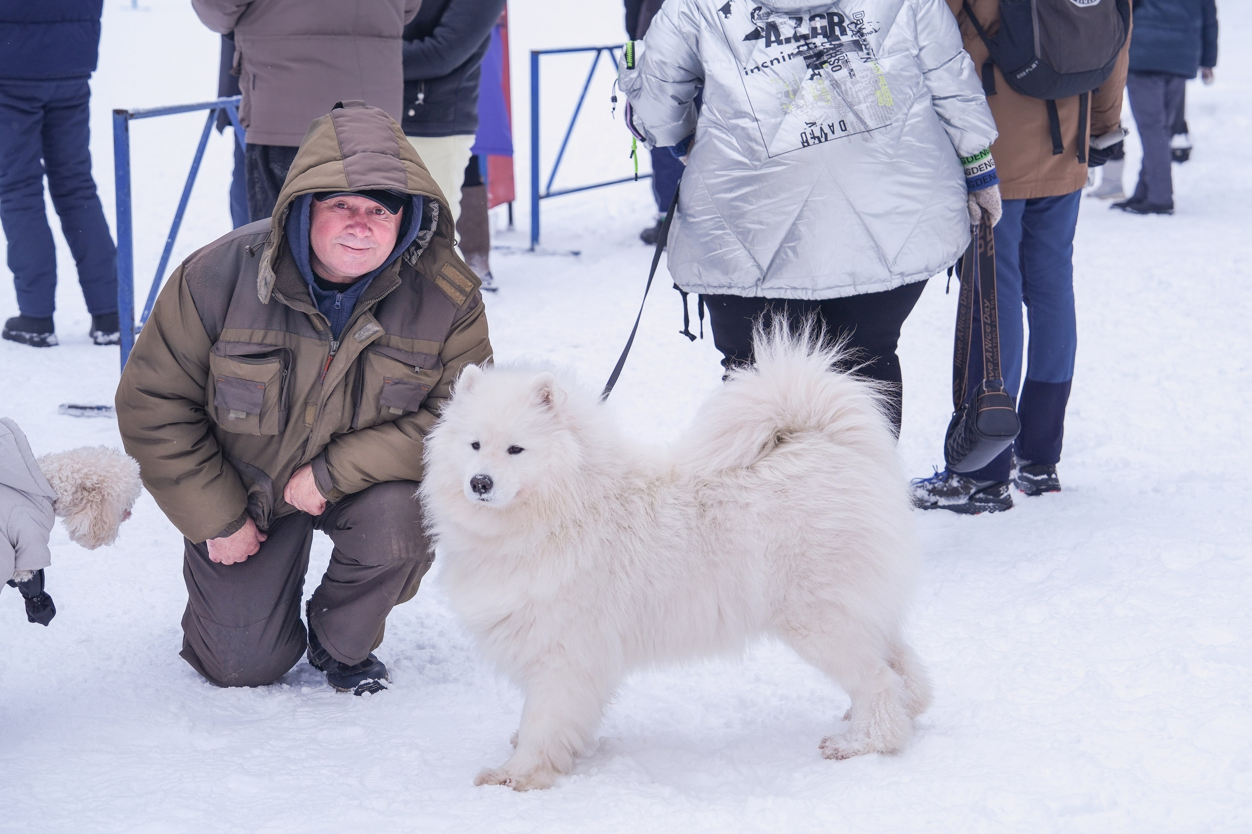 Рождественские гонки на собаках. Т/б «Чайка». Семейный фотограф Владимир Просвиркин. г. Самара