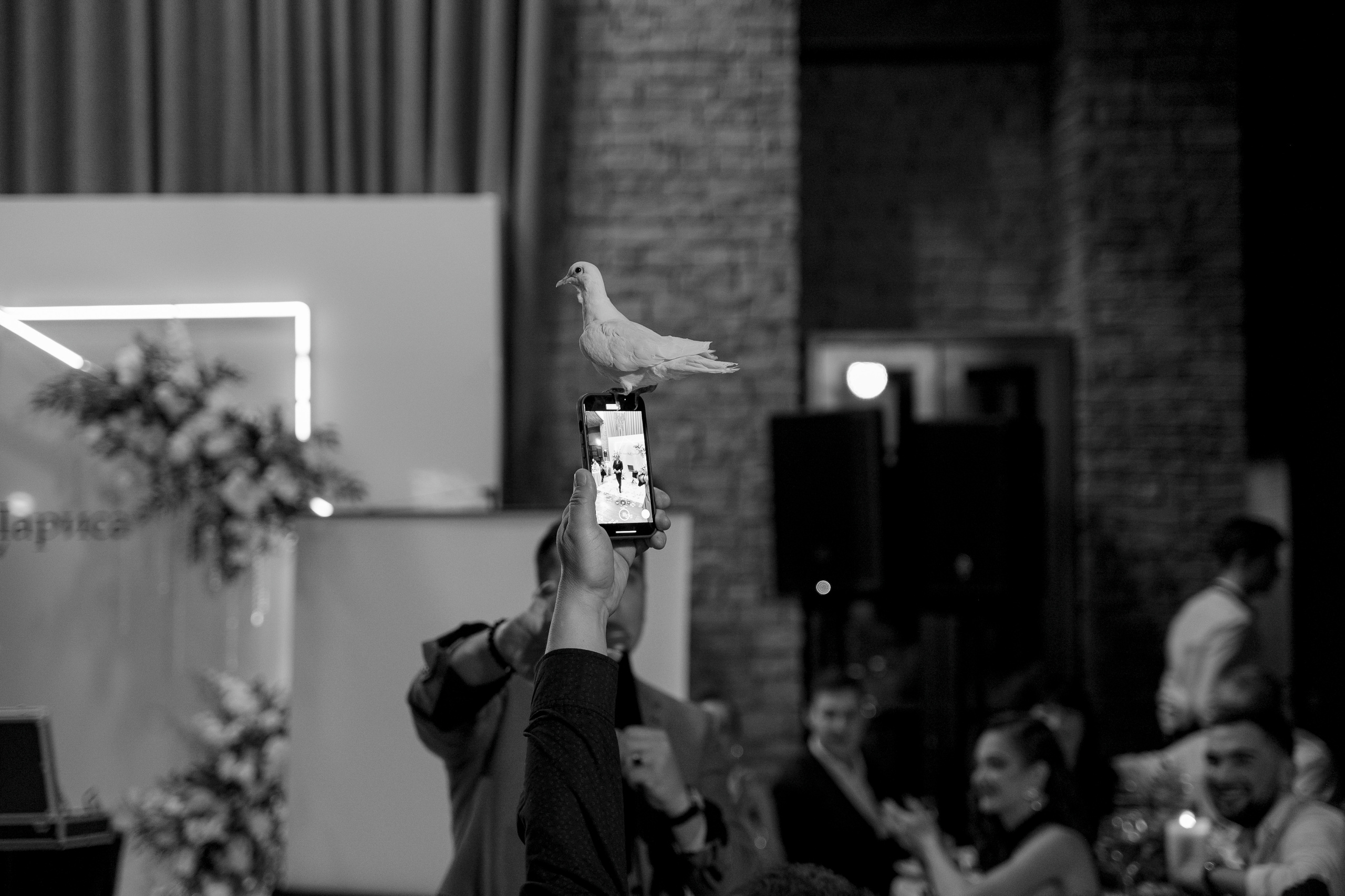 Лариса & Никита. Свадебный и семейный фотограф Тюмень Екатеринбург Москвина Алёна