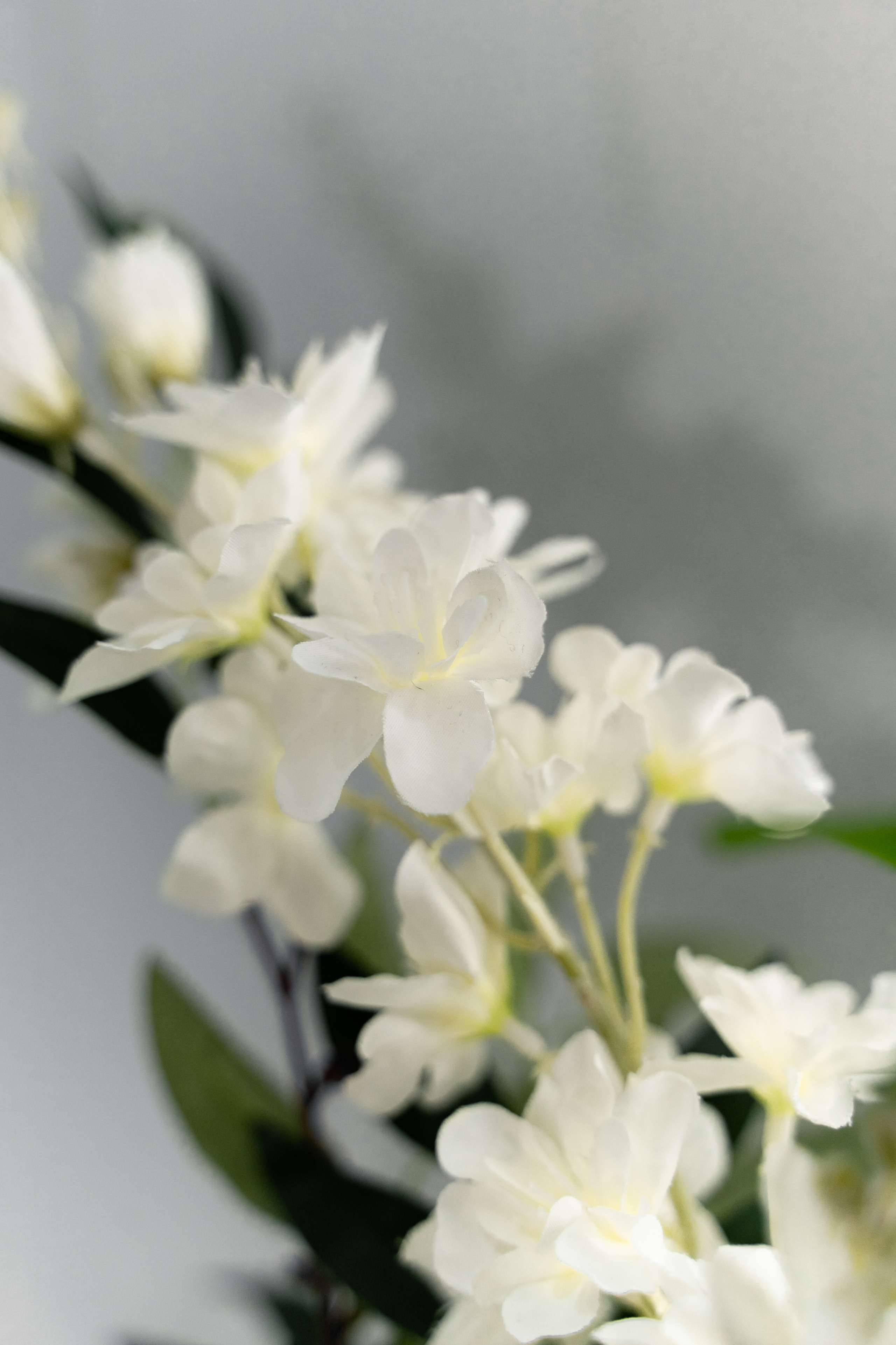 Лариса & Никита. Свадебный и семейный фотограф Тюмень Екатеринбург Москвина Алёна